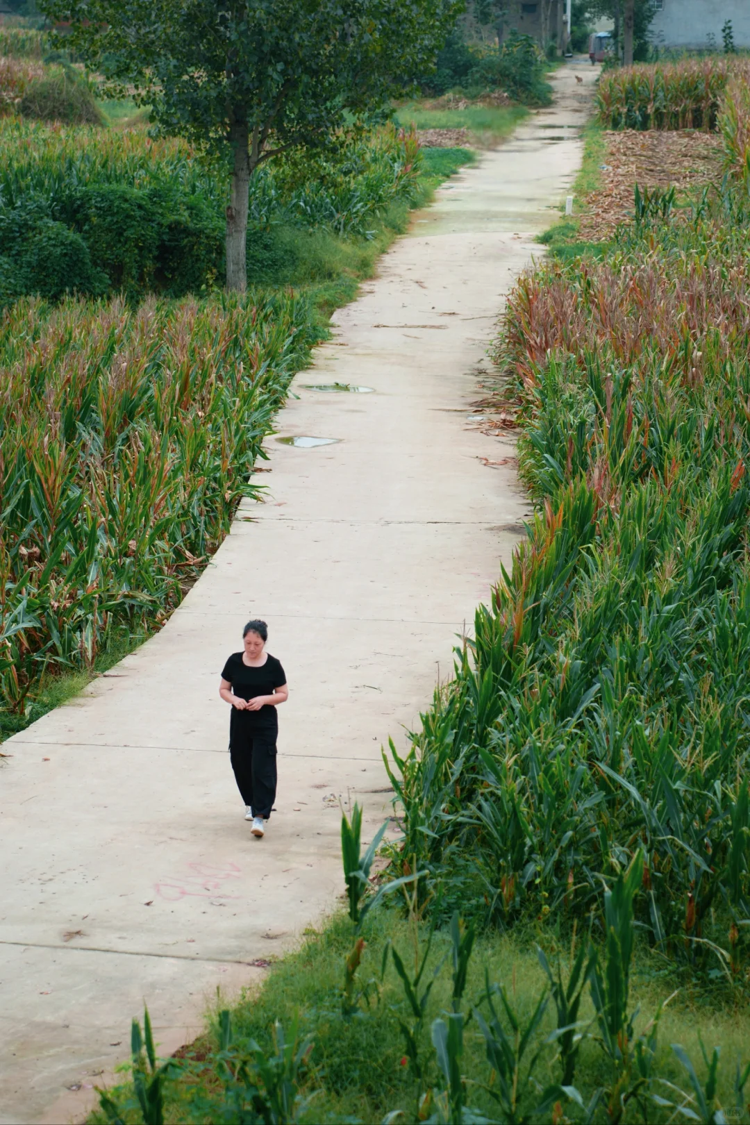 镜头记录着姐姐的自然与美📷