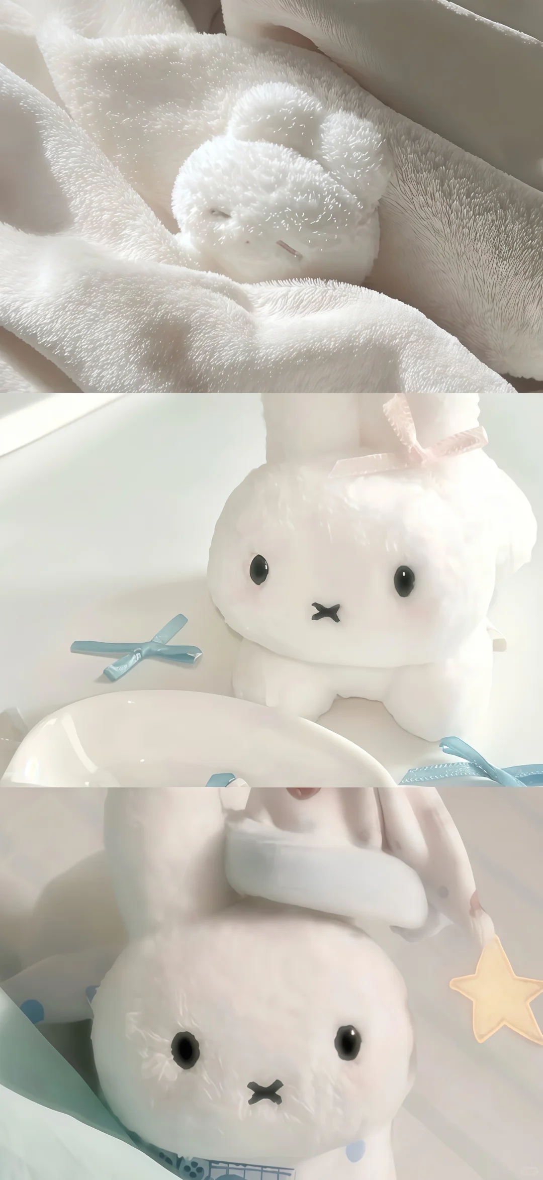 𝐒𝐡𝐚𝐫𝐞丨可爱ins风壁纸