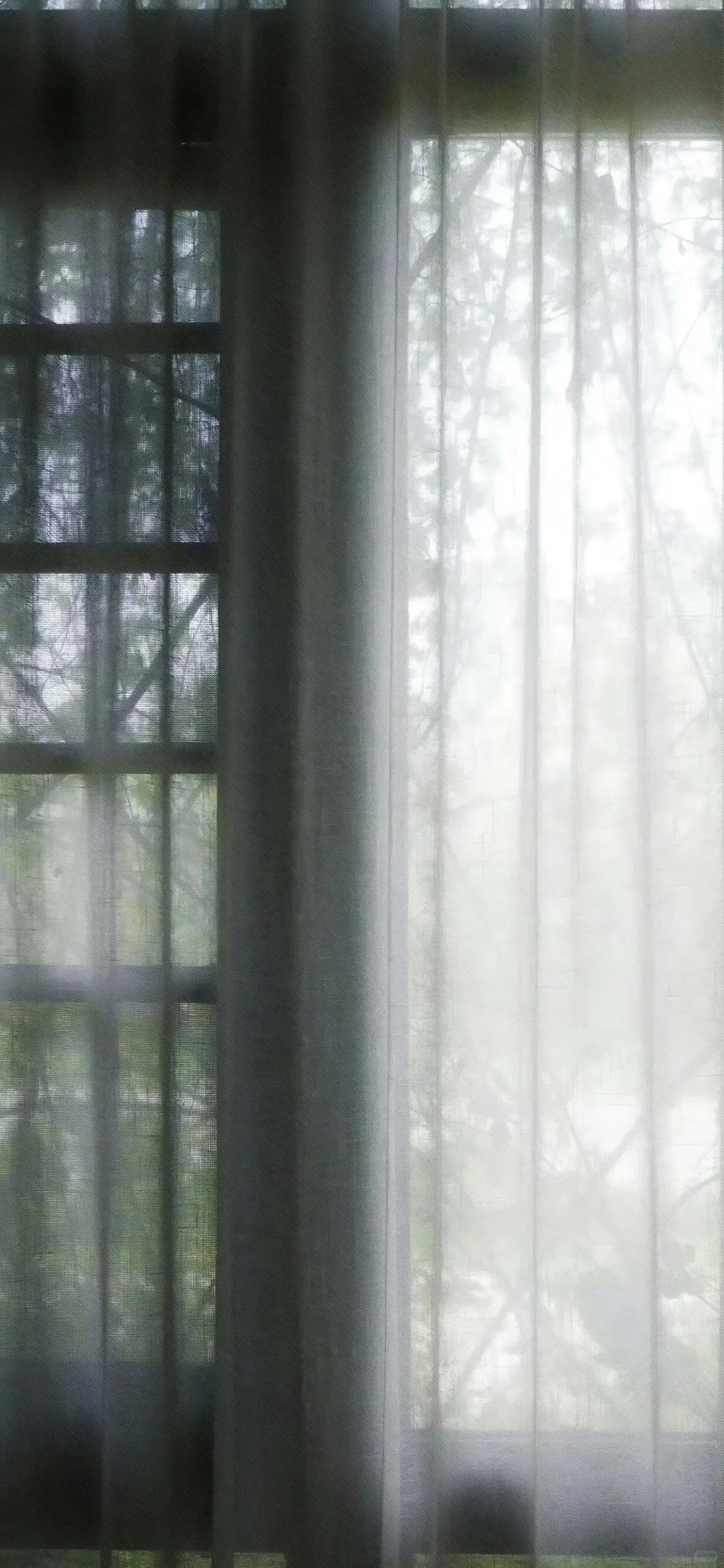 share | ins风清冷感壁纸