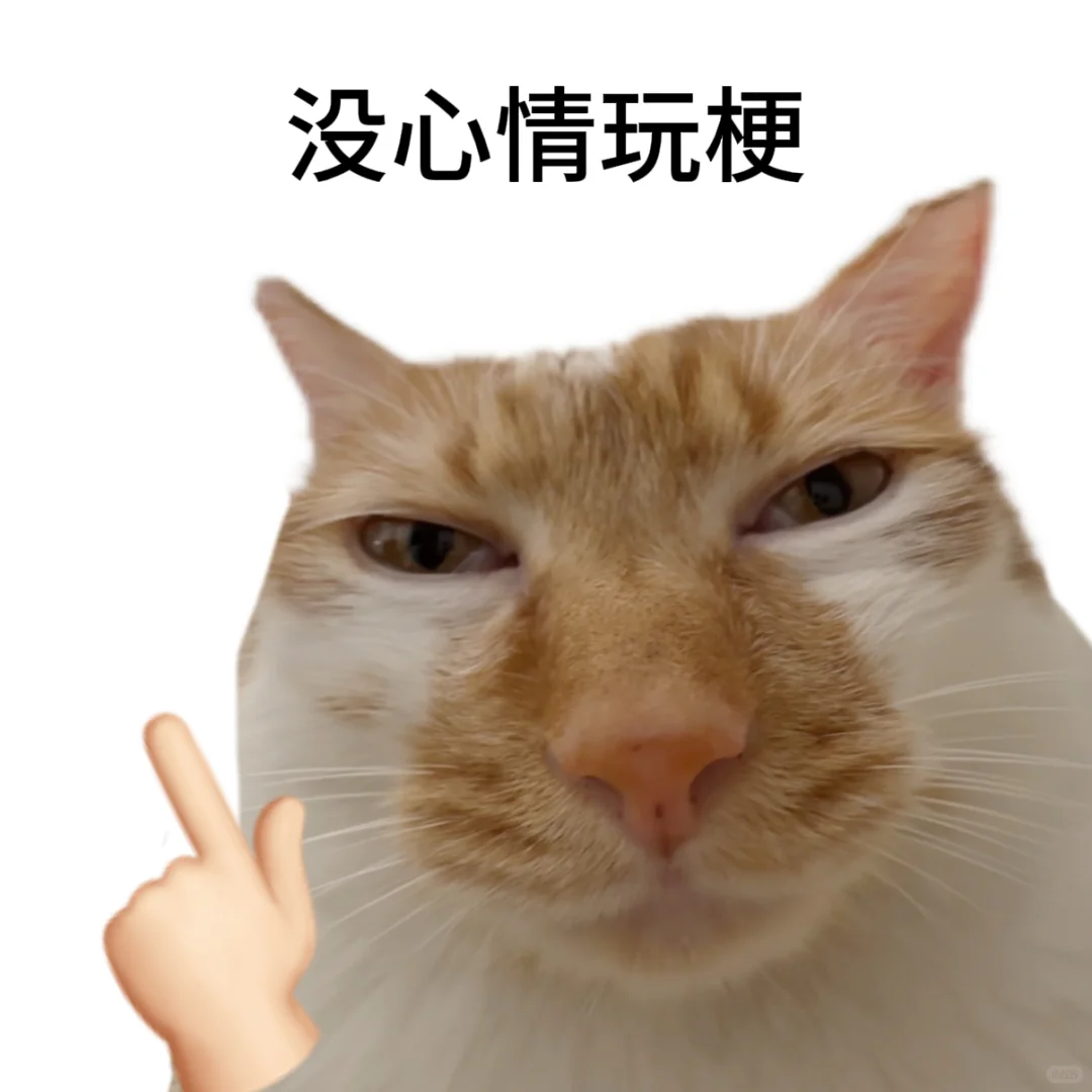 俺不得劲的时候就发这组表情包