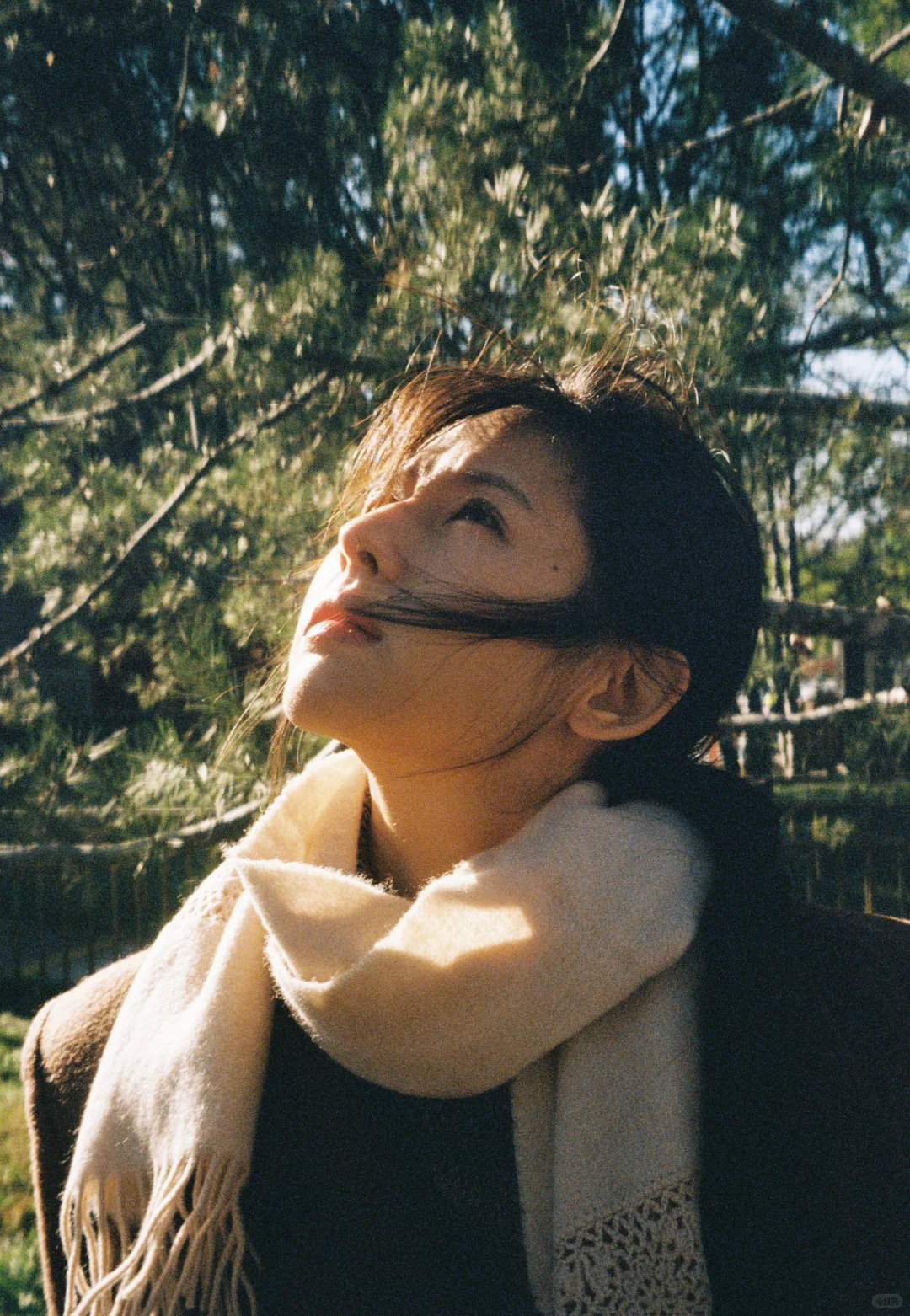 鹤男秋日氛围感写真