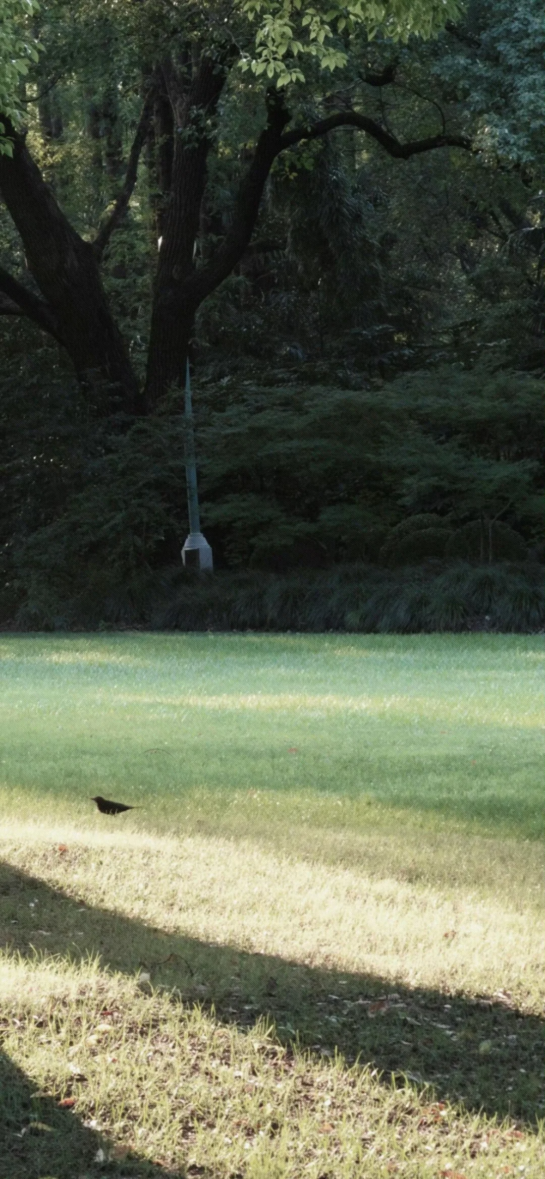 🀄：流水生财壁纸𝟐.𝟎