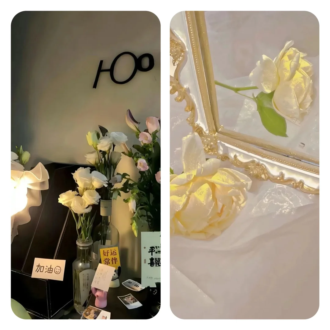 𝑾𝒂𝒍𝒍𝒑𝒂𝒑𝒆𝒓｜高清ins风壁纸