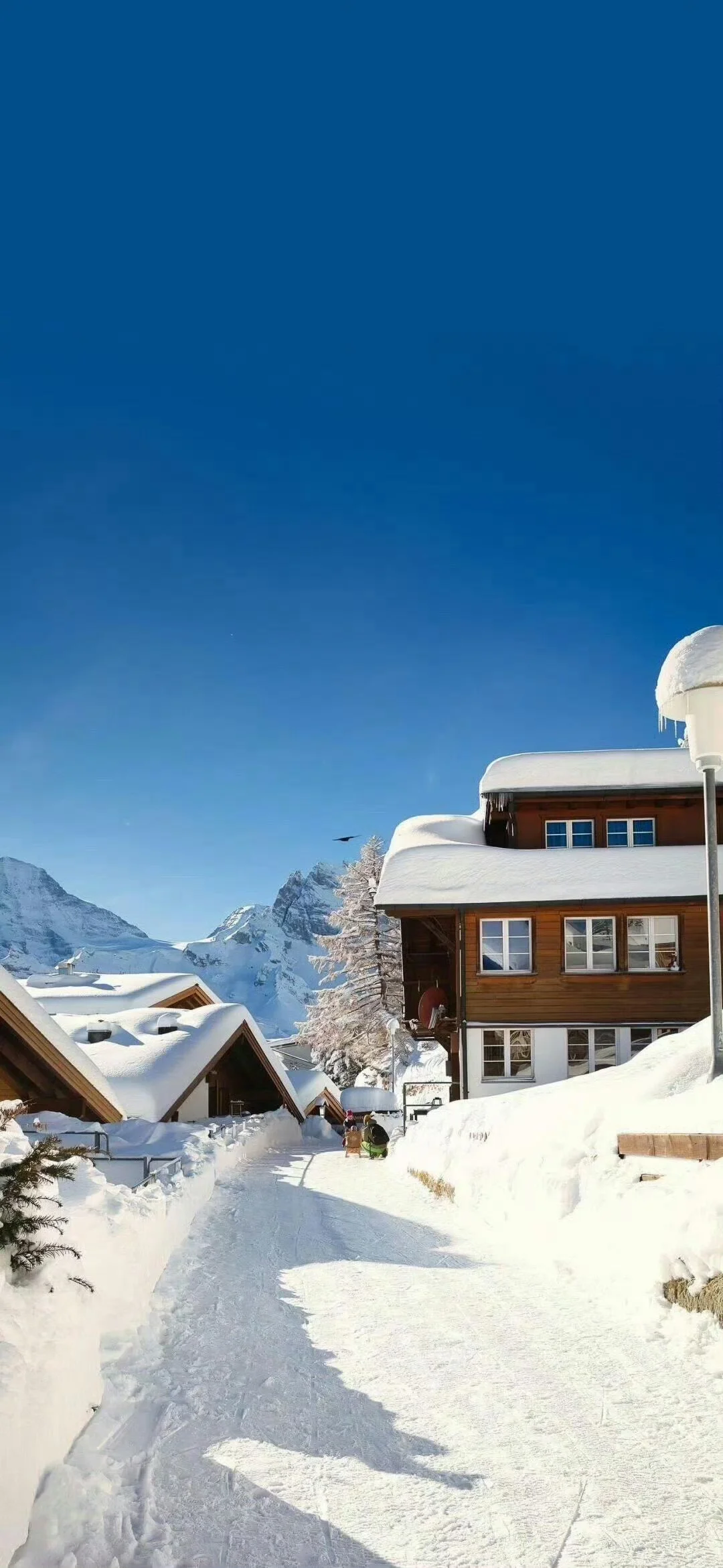 冬日氛围感壁纸！！