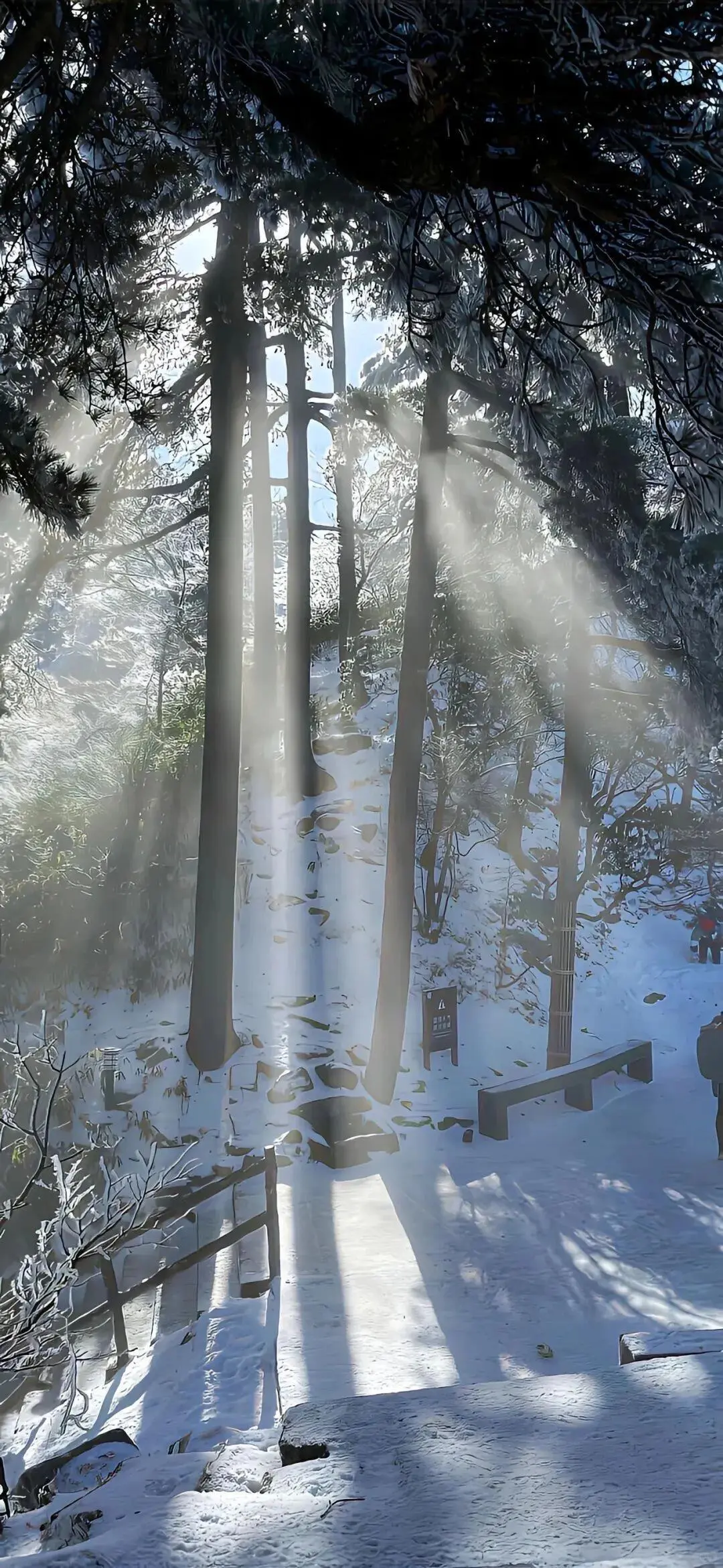 share | ins风清冷感壁纸