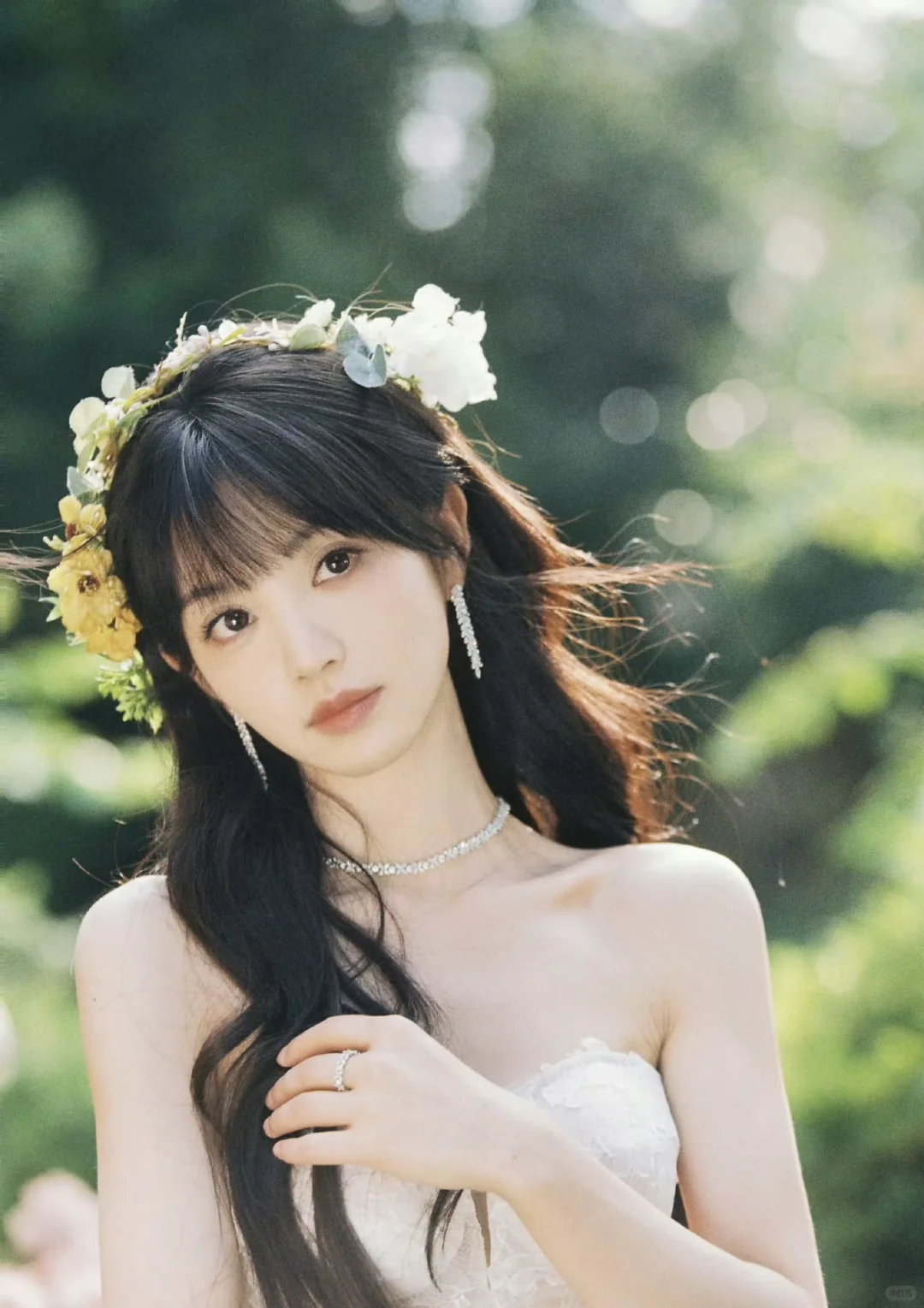 田曦薇-夏日开端野蔷薇