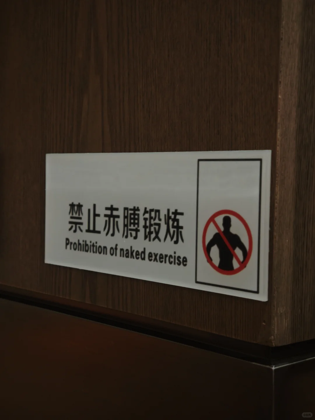 153｜56增肌第n天