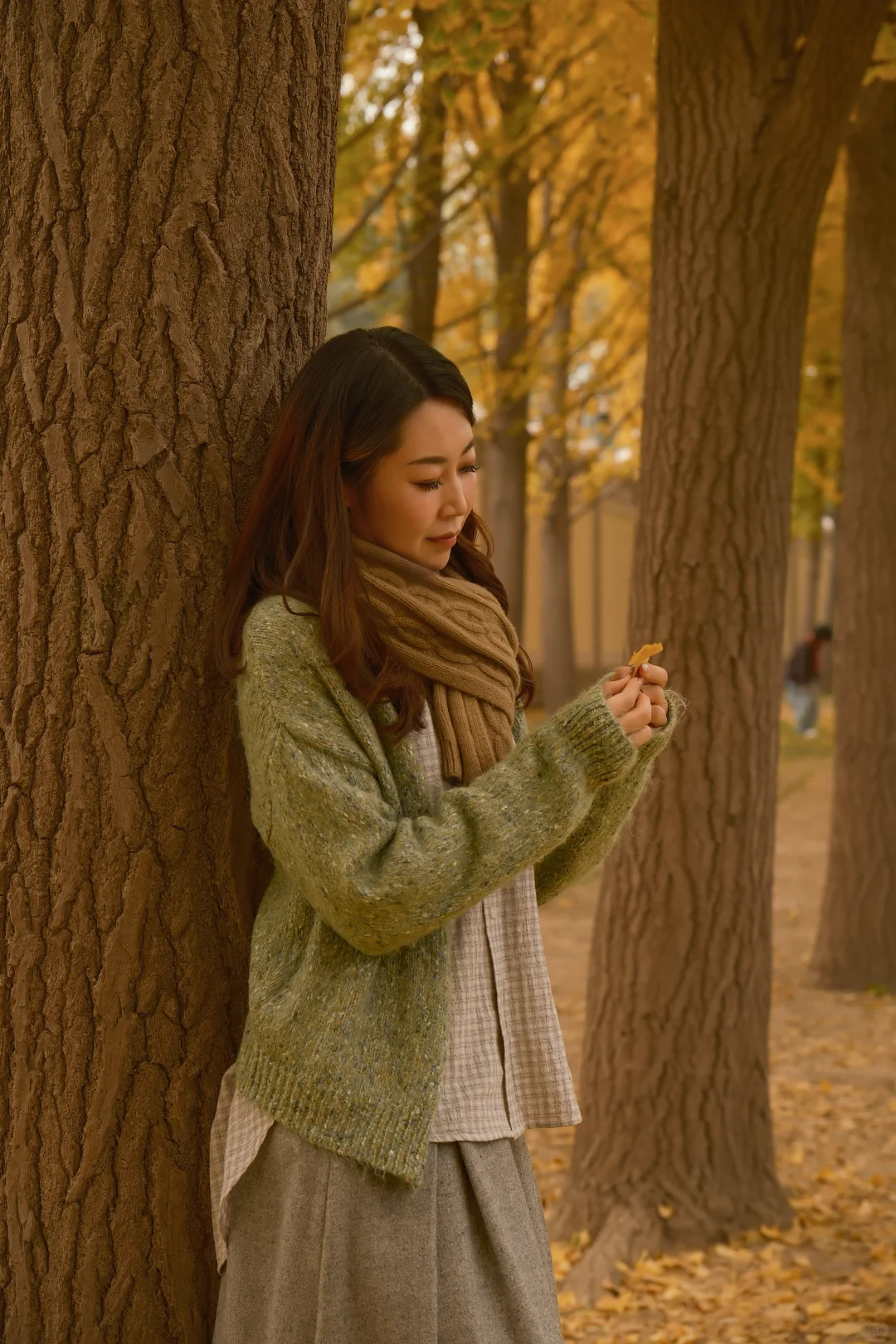 北京地坛银杏｜富士女摄免费拍📸 谁懂啊！