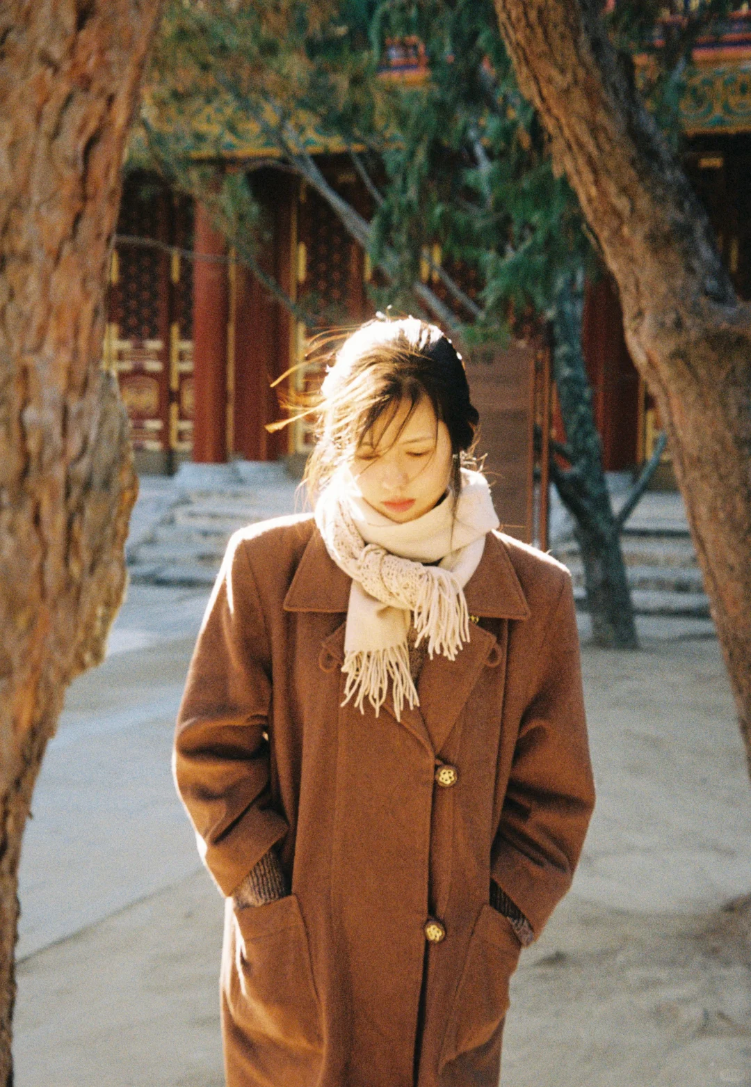 鹤男秋日氛围感写真