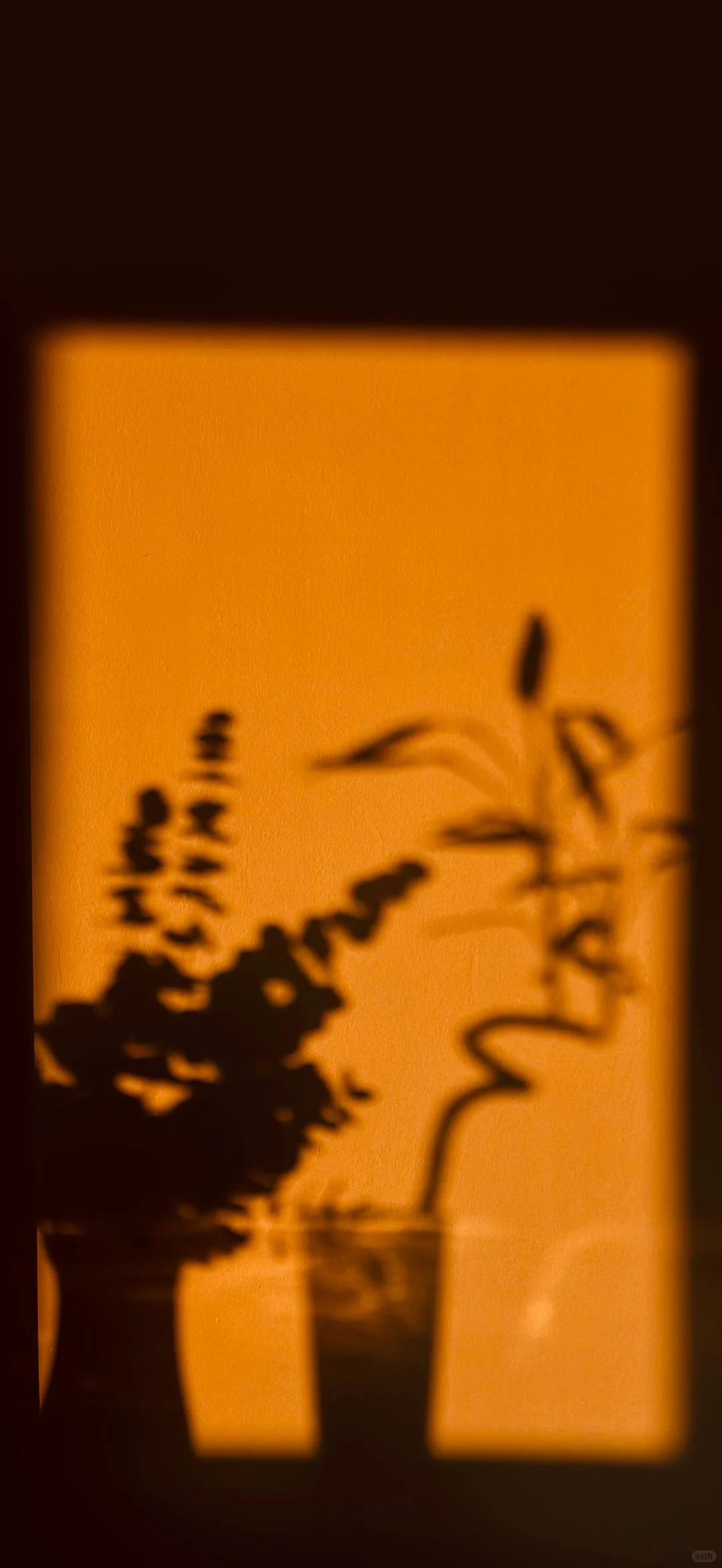 最喜欢的壁纸｜每一张都好看