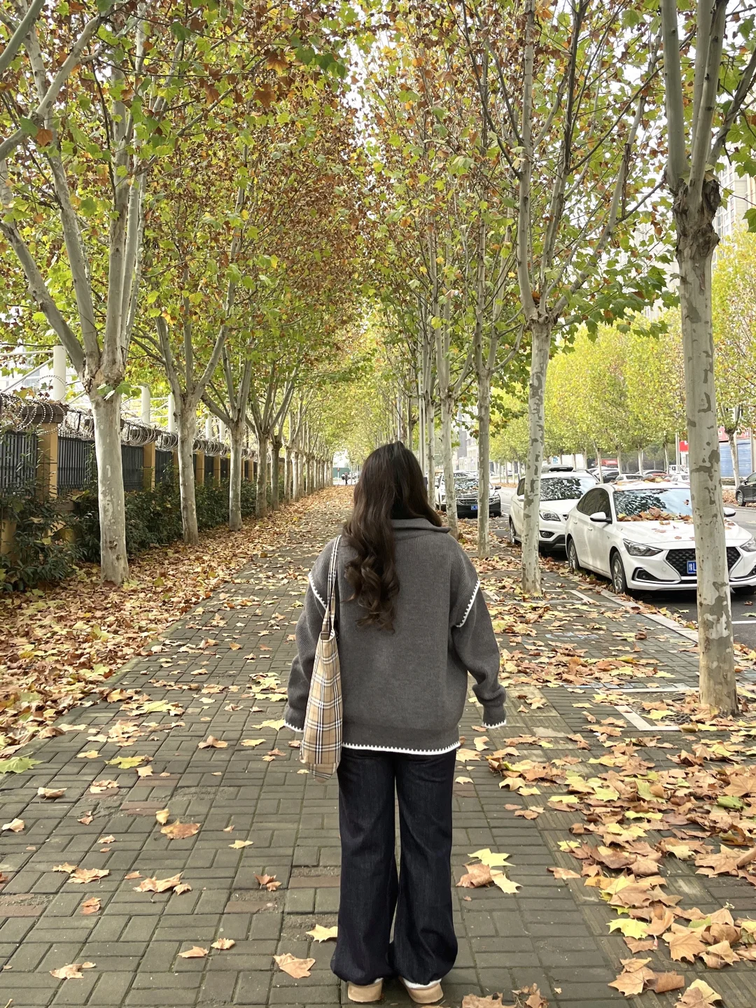 158/120｜微胖梨形 毛衣➕微喇裤🍂秋天穿搭