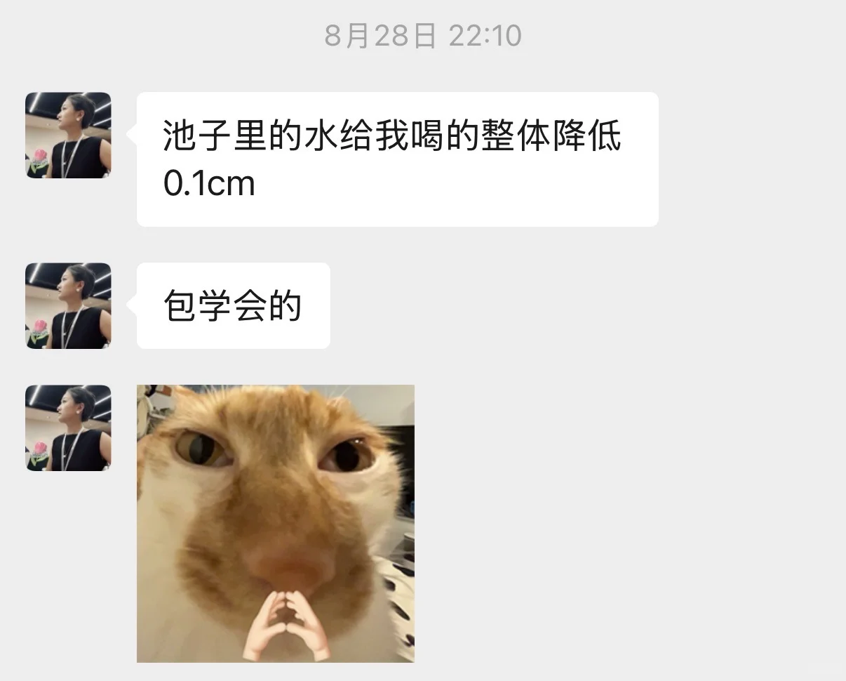 可以暂停往下滑然后夸我一下吗