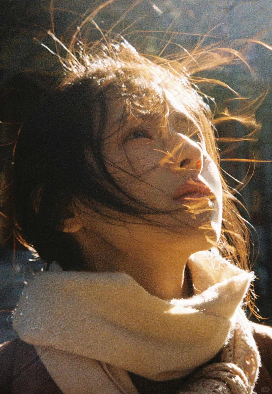 鹤男秋日氛围感写真