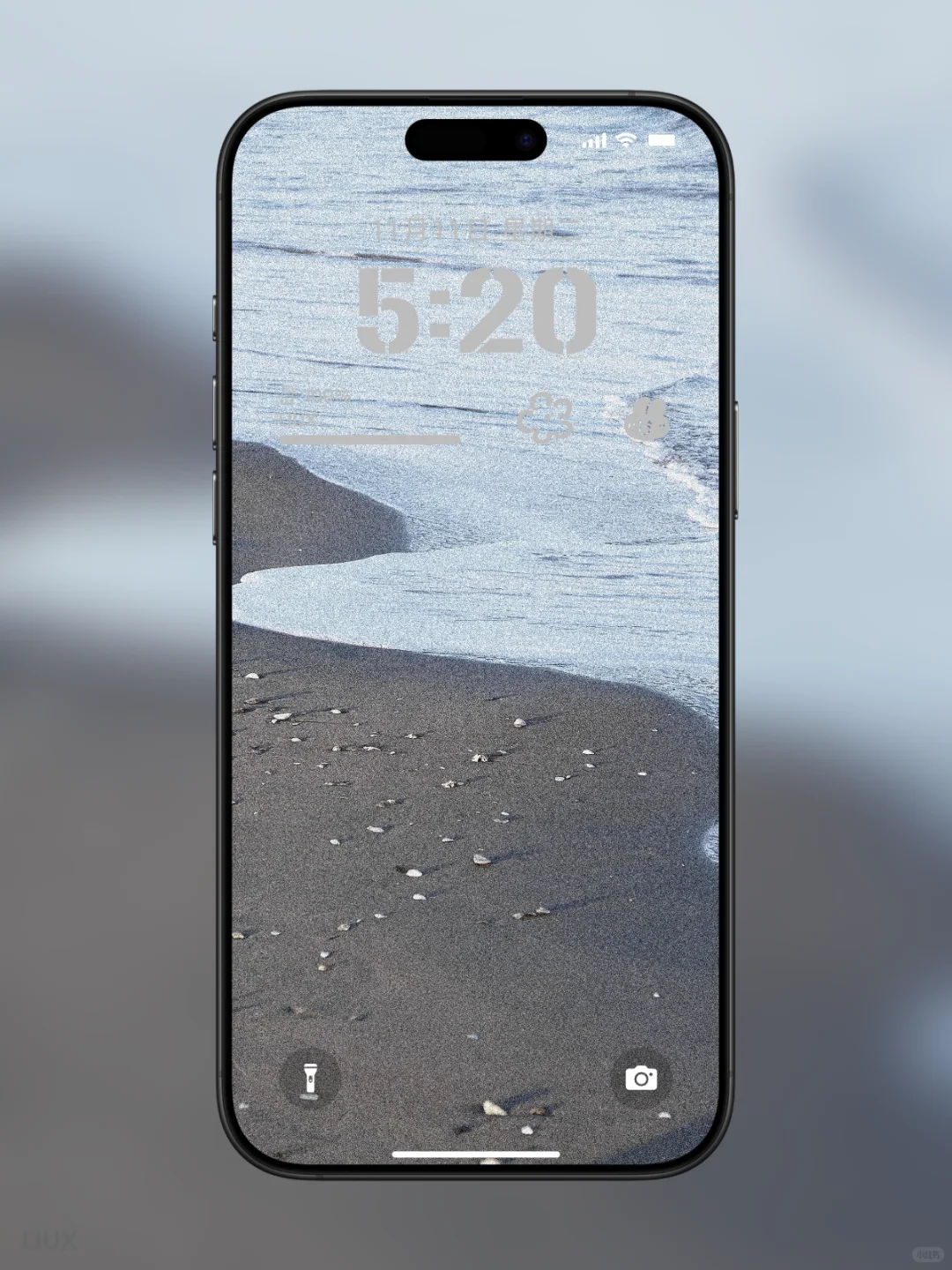 《氛围感拉满的白百合手机壁纸｜把清新与温柔