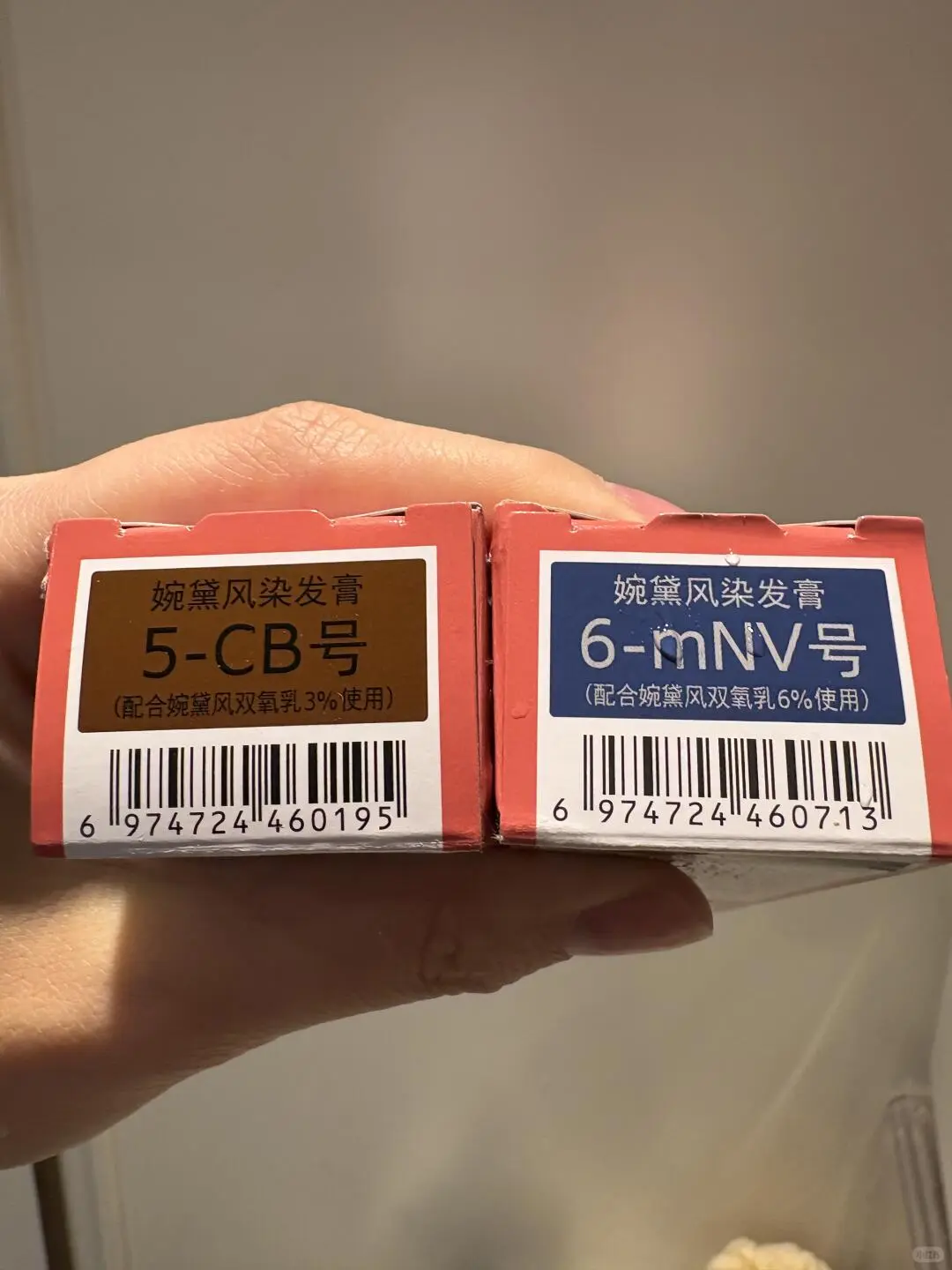 甜美女孩子的温柔发色， 姐妹一起，快乐加倍