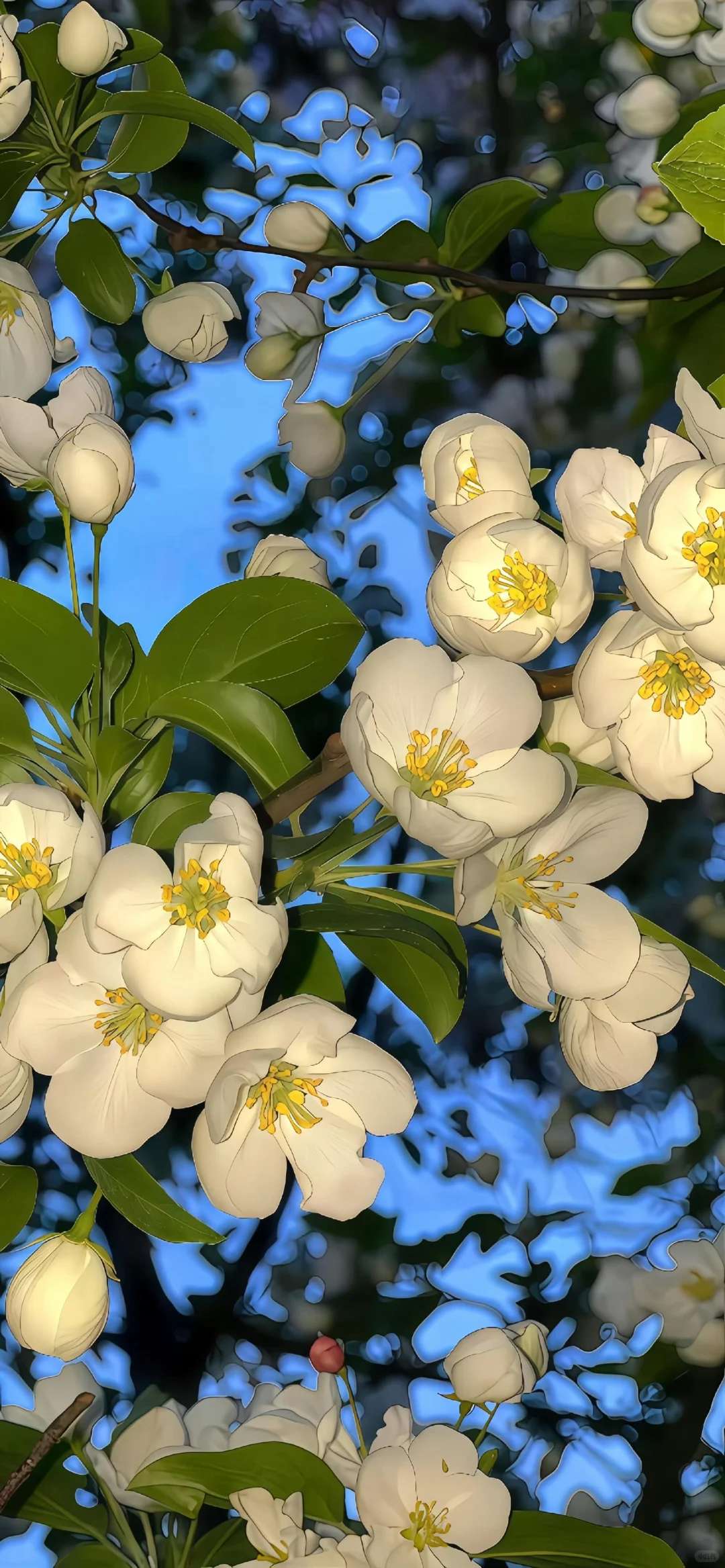 iPhone17 | iOS26裸眼3D景深壁纸