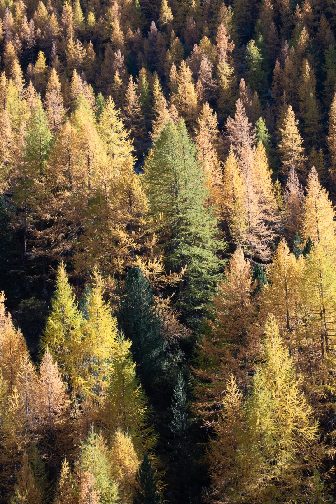 把鱼骨胸衣穿去轻徒步？5小时后…真香了！