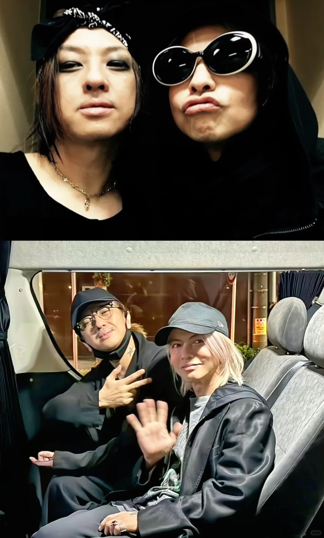 撒娇是小猫最好的嫁妆 ⁺ฅ😽ฅ⁺