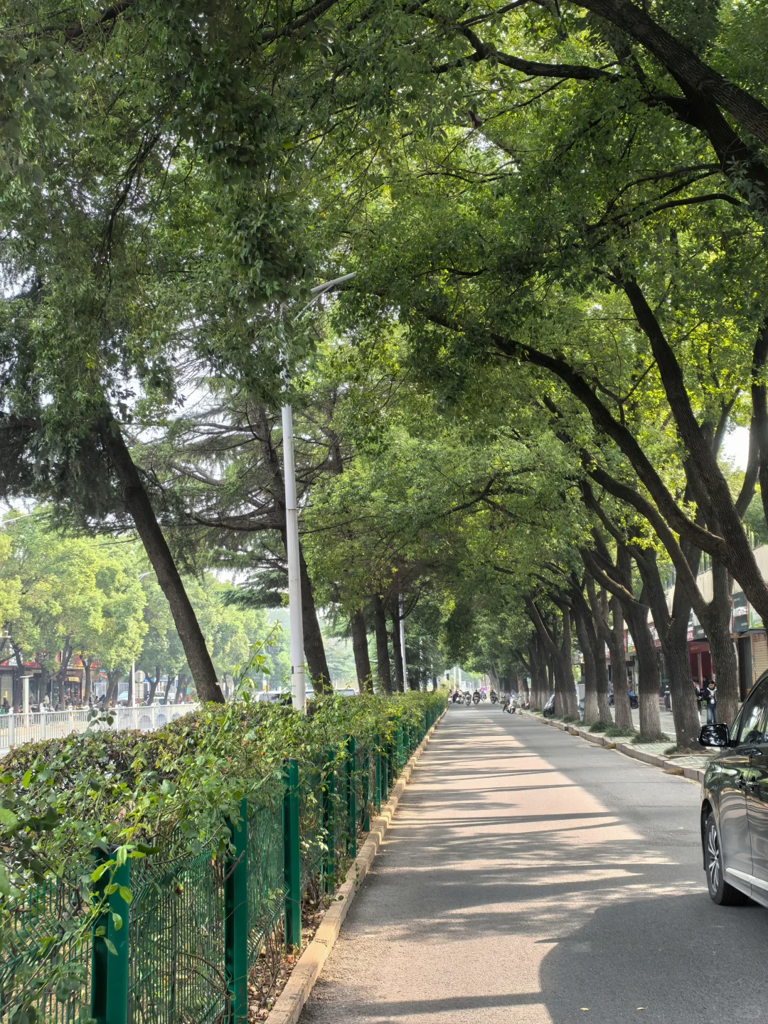 35岁，找到本命运动真的太爽了！