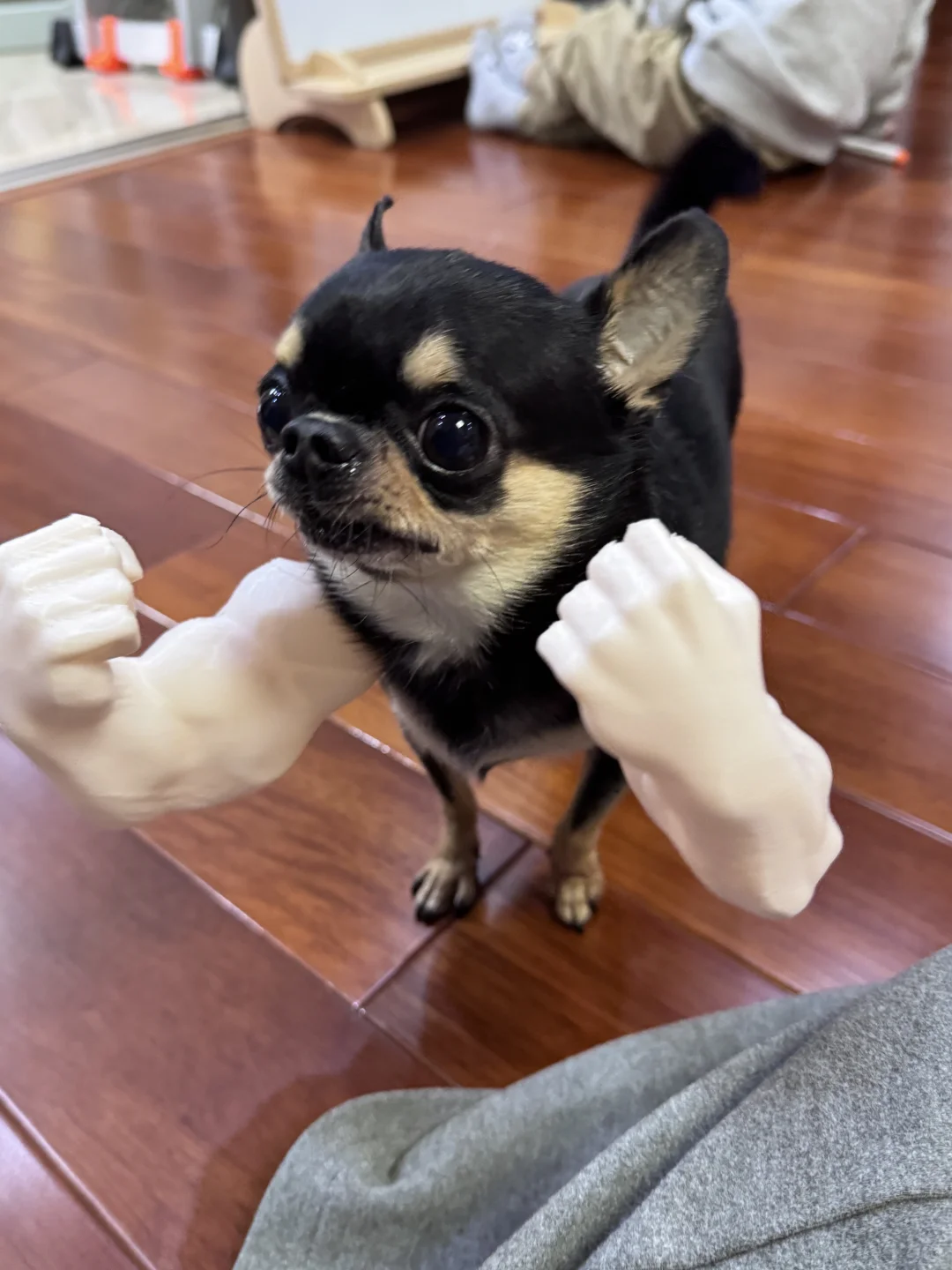 听说女人都喜欢肌肉💪🏻