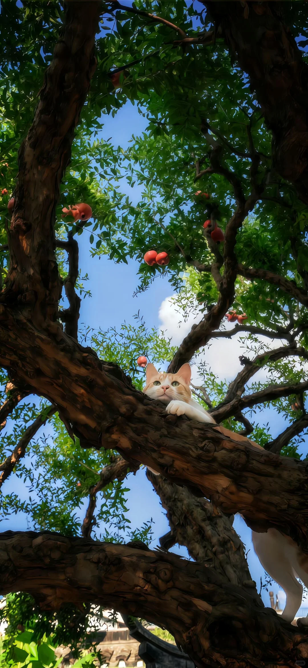 iPhone17 | iOS26裸眼3D景深壁纸