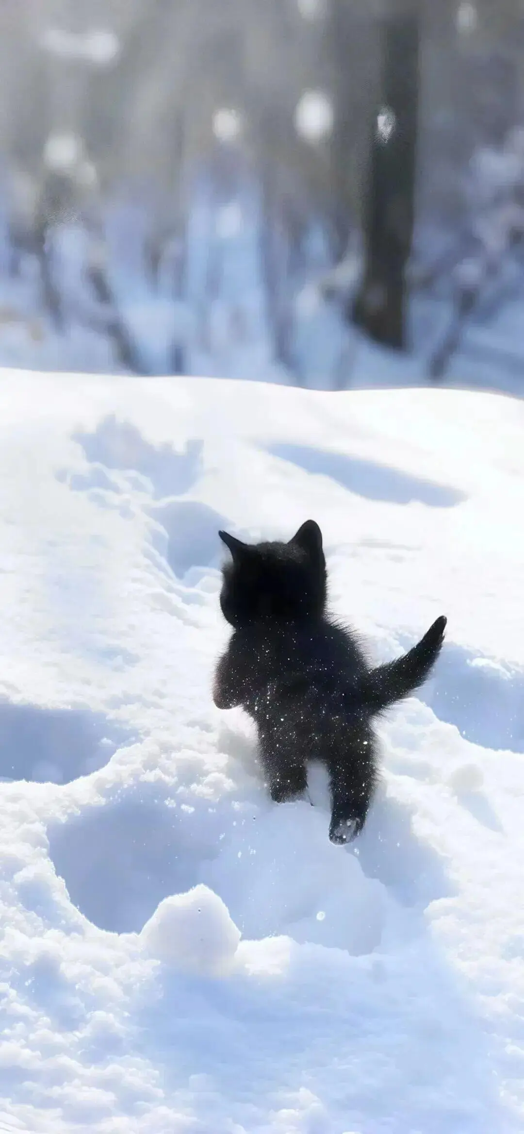 冬日氛围感壁纸！！