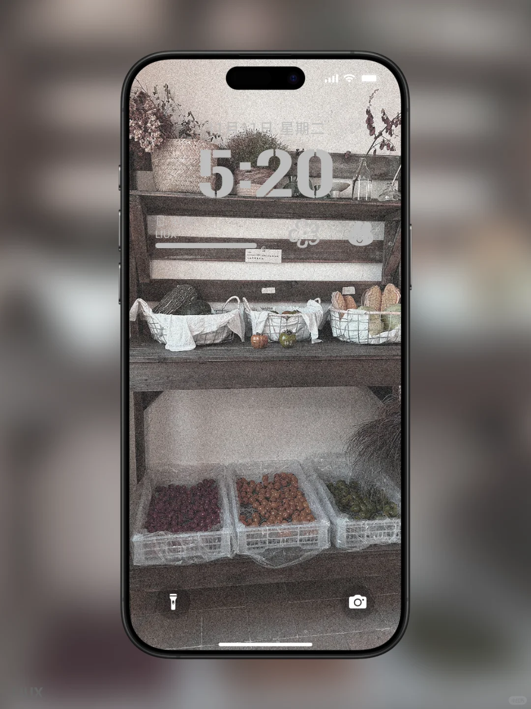 《氛围感拉满的白百合手机壁纸｜把清新与温柔