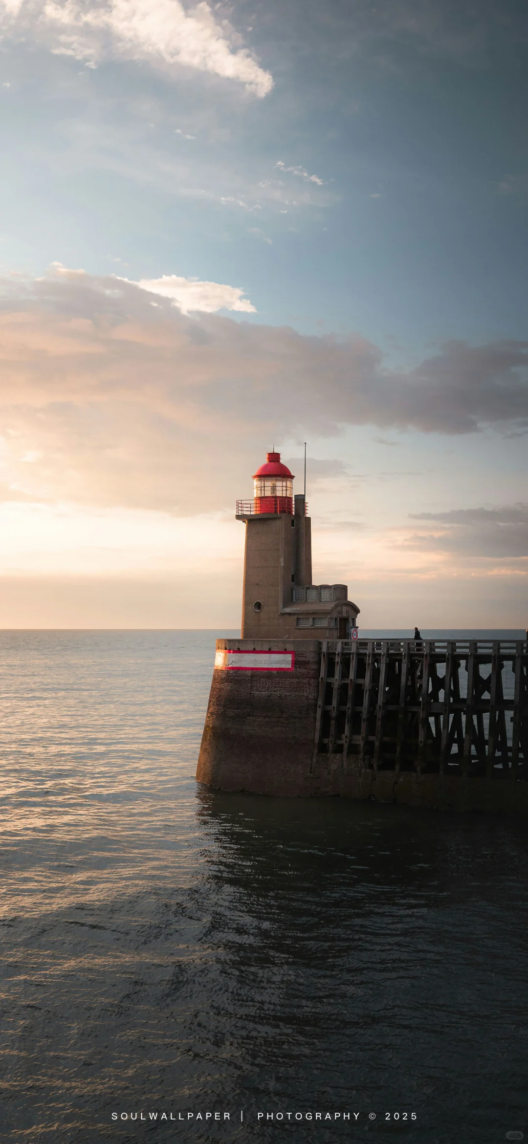 𝓒𝓸𝓬𝓸𝓷𝓾𝓽丨壁纸赏鉴2501022