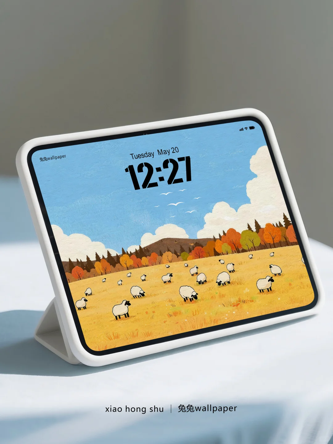 横版平板壁纸｜秋天治愈风格壁纸｜37