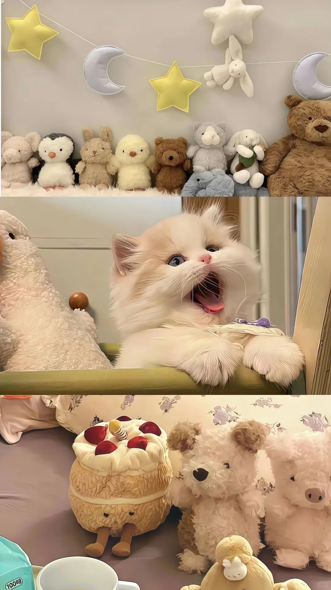 𝙒𝙚𝘾𝙝𝙖𝙩｜可爱小猫壁纸