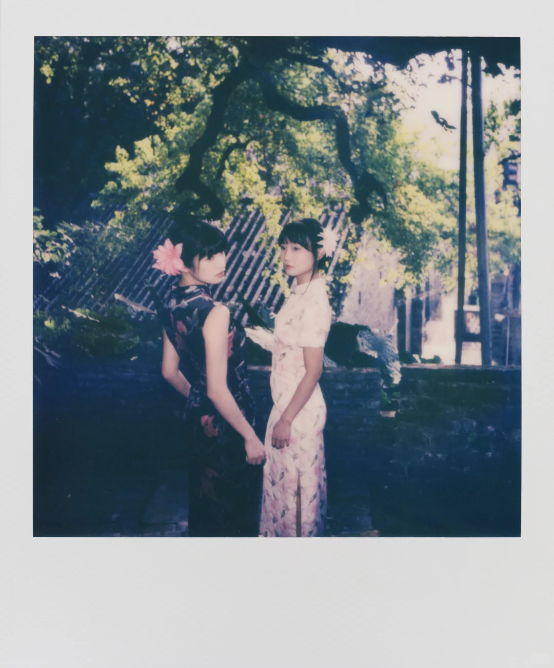 宝丽来｜女人如花花似梦