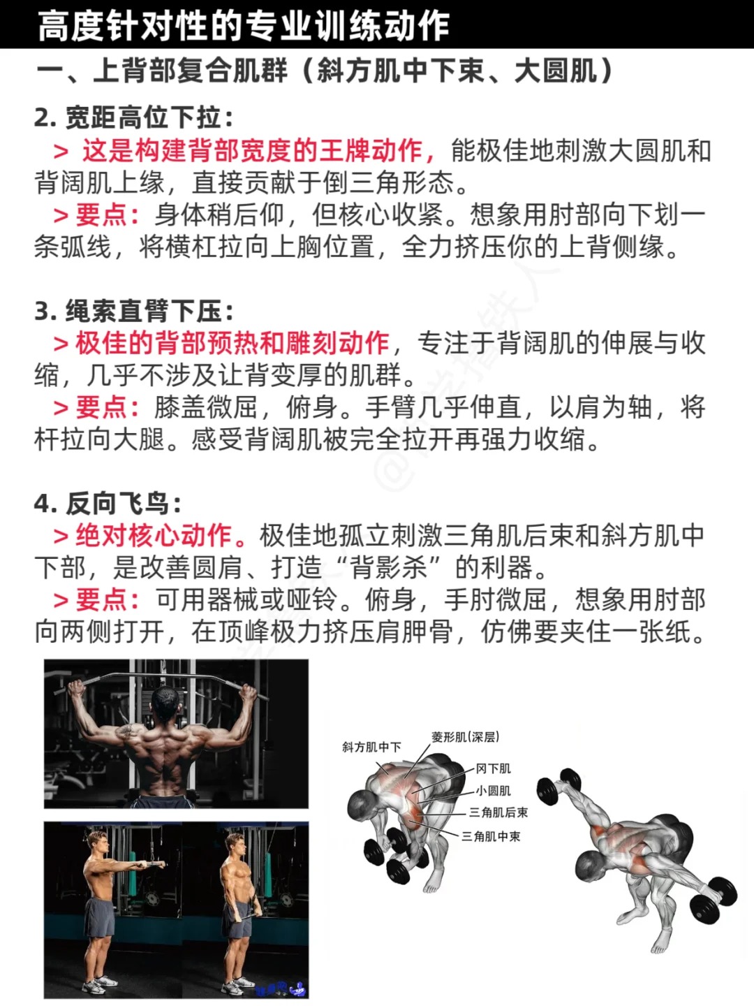 女生练背训练计划，挺拔、倒三角、有线条