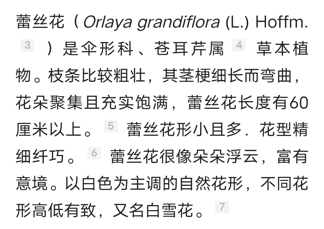 花店上班Day54.争取每天发一种花