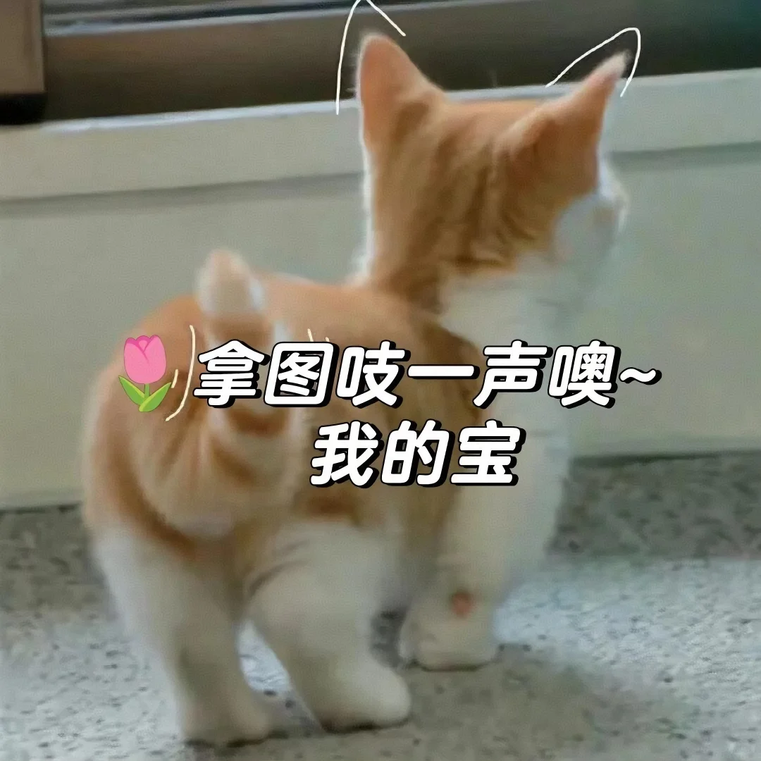 你会心动的𝑾𝒆𝑪𝒉𝒂𝒕头像