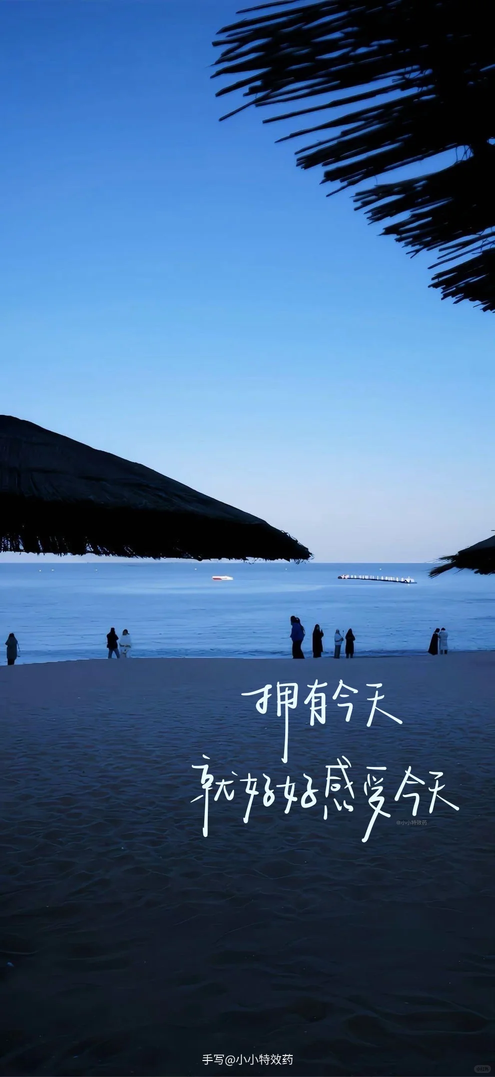 手写壁纸｜我与世界 都是帧帧瞬间