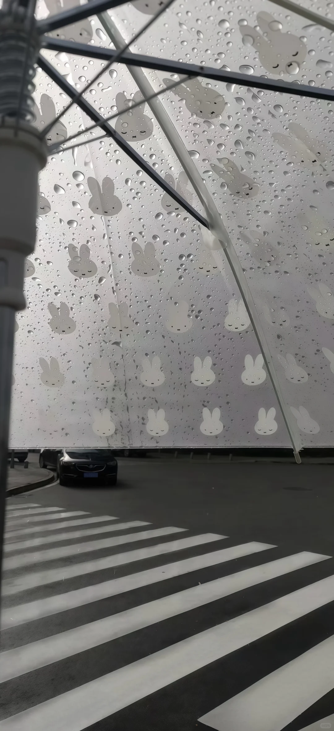 𝐒𝐡𝐚𝐫𝐞丨可爱ins风壁纸