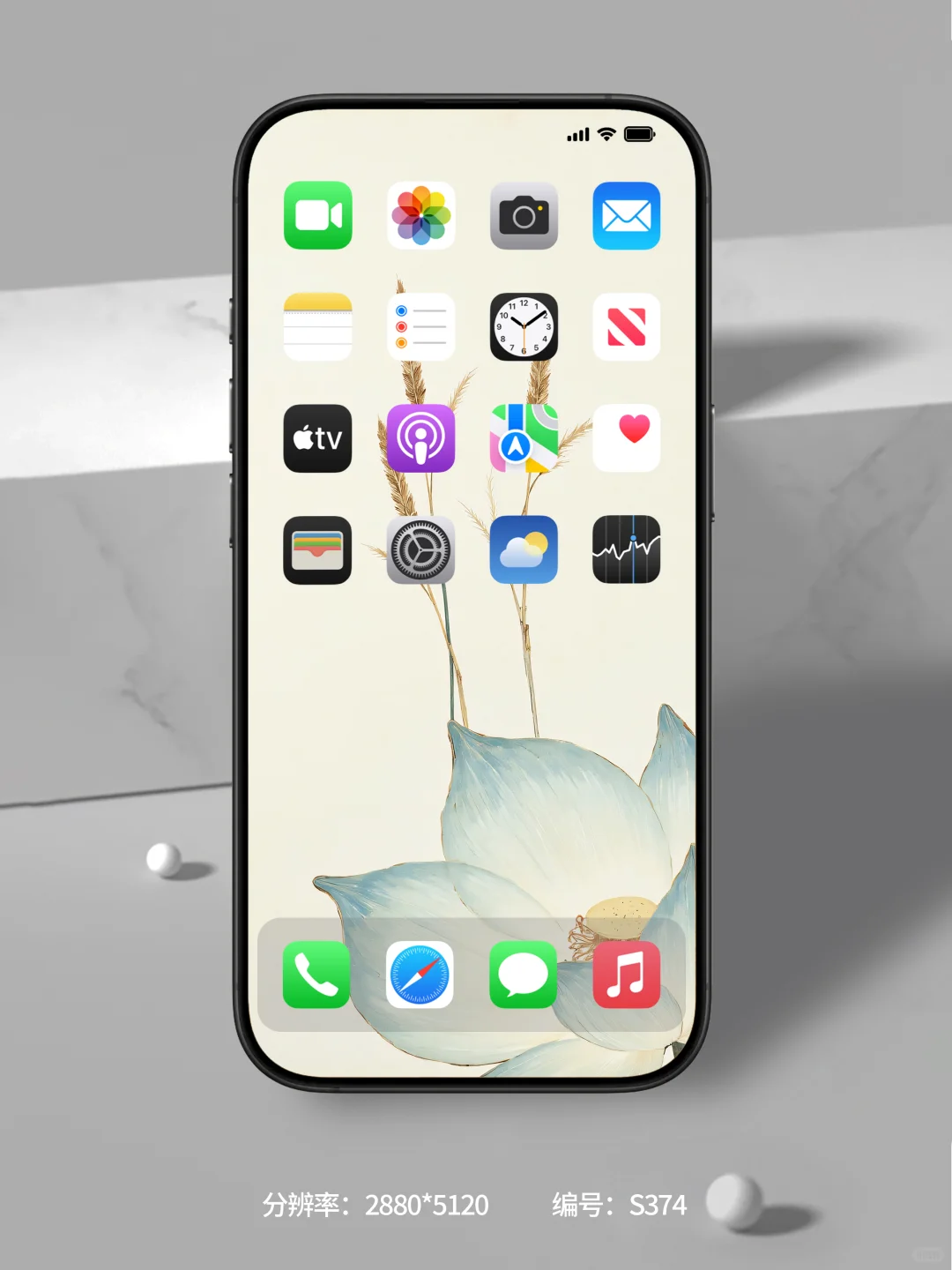 荷韵悠长，岁月华章，治愈系壁纸