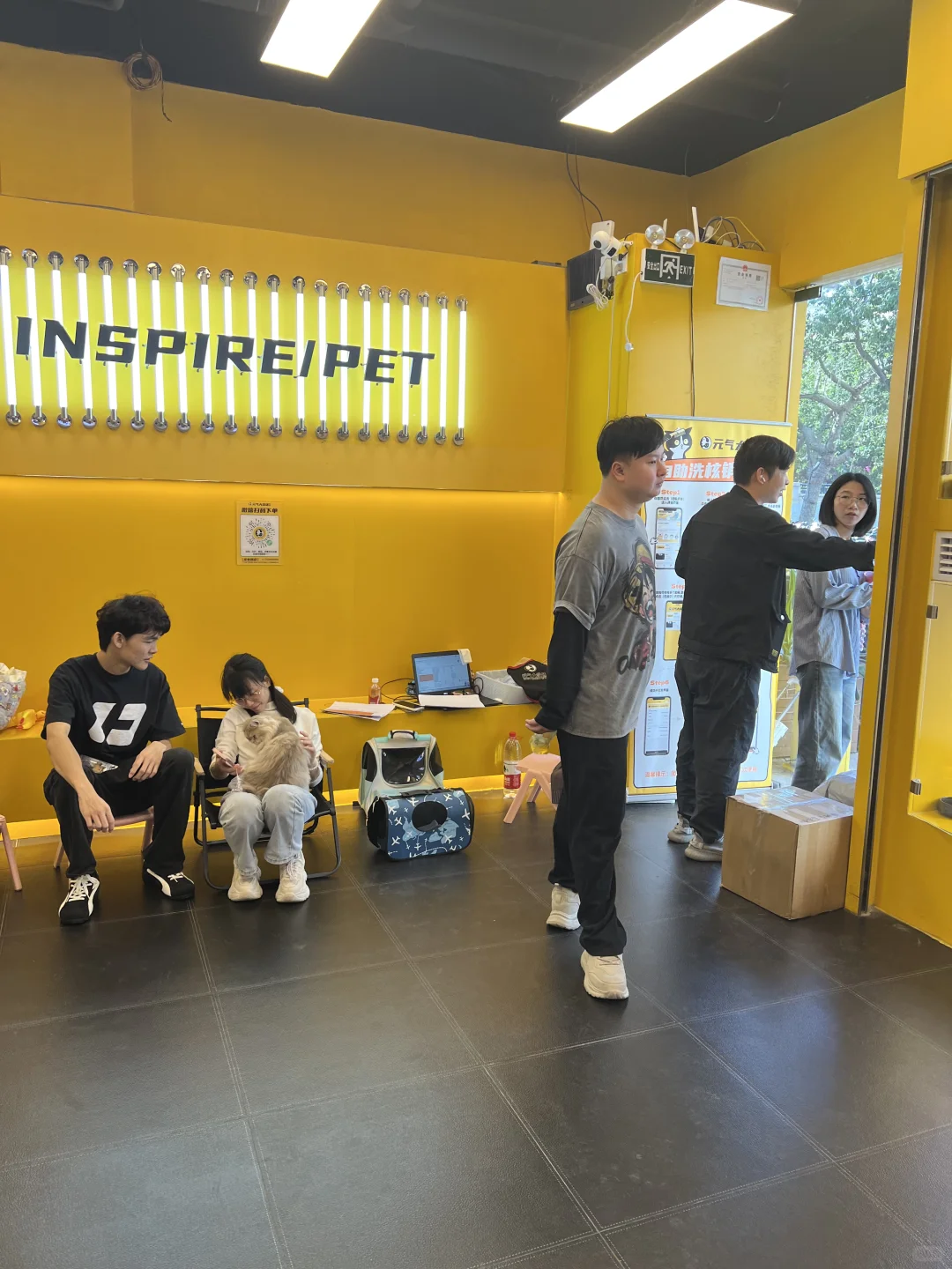 突然发现，女朋友开宠物店的思路好清晰啊！