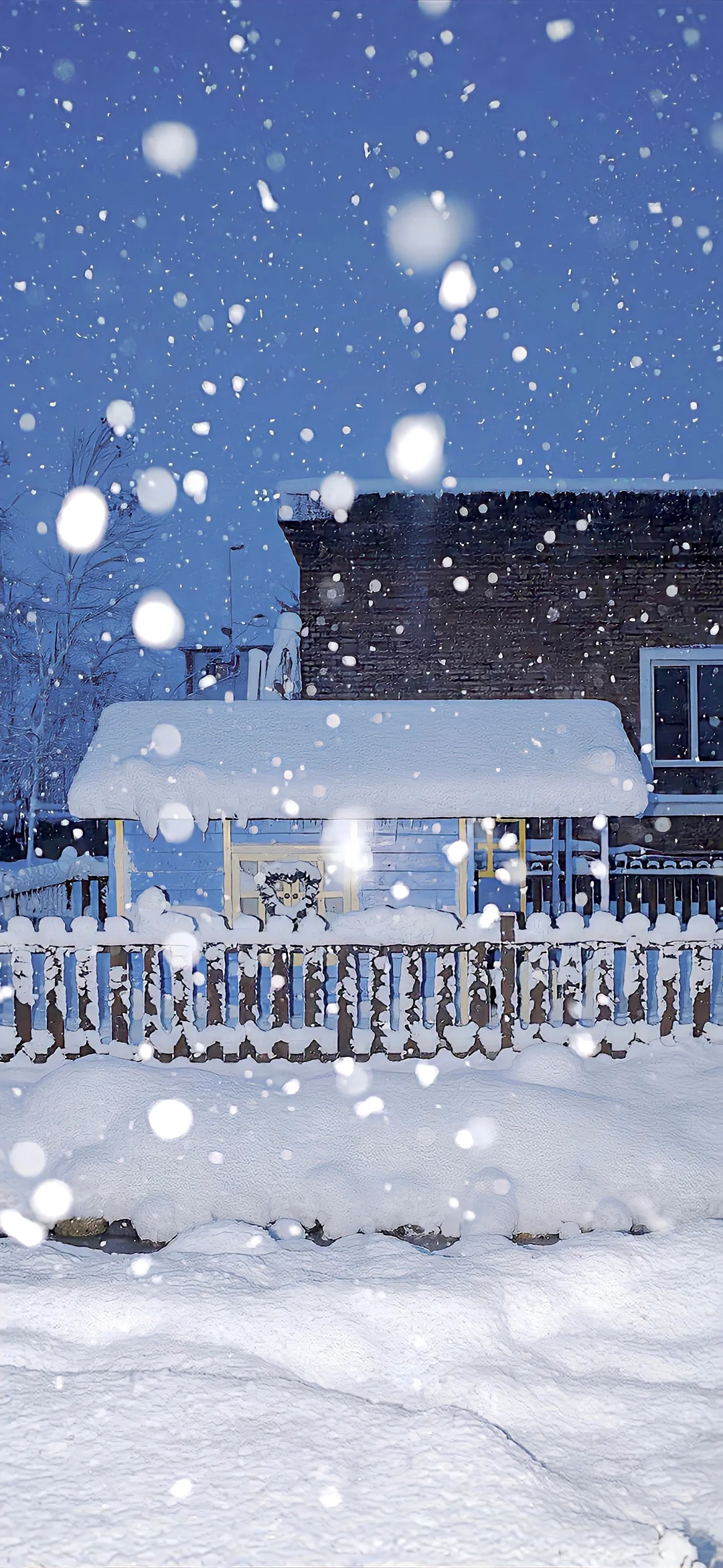 𝐒𝐡𝐚𝐫𝐞丨ins小众壁纸❄