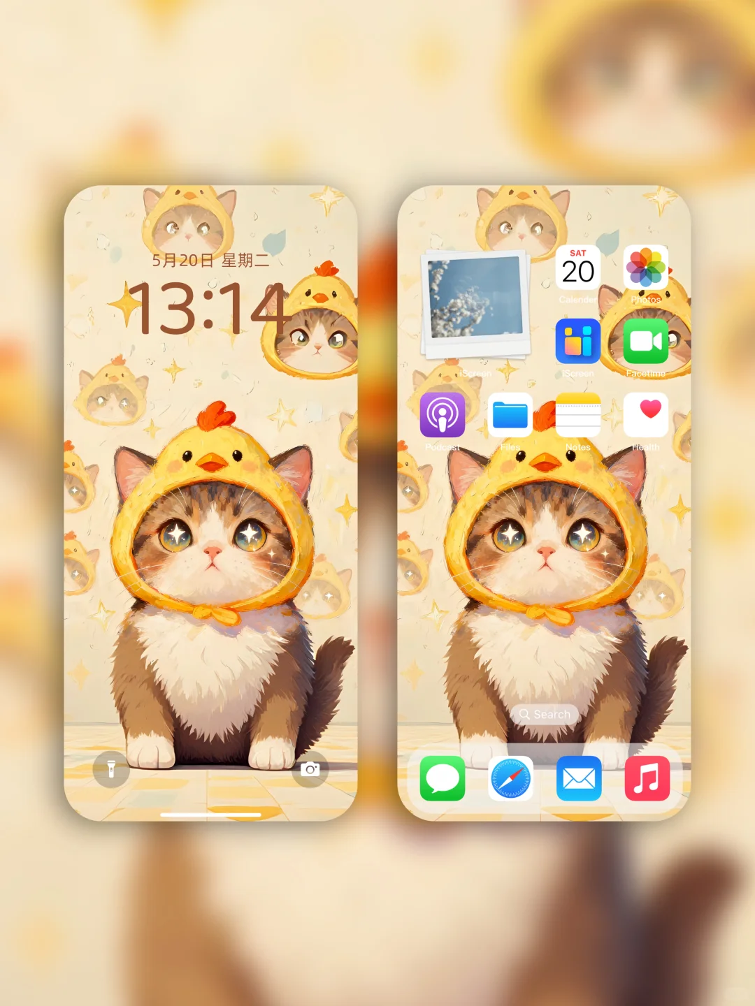 新8k超清壁纸！！治愈小猫🐱