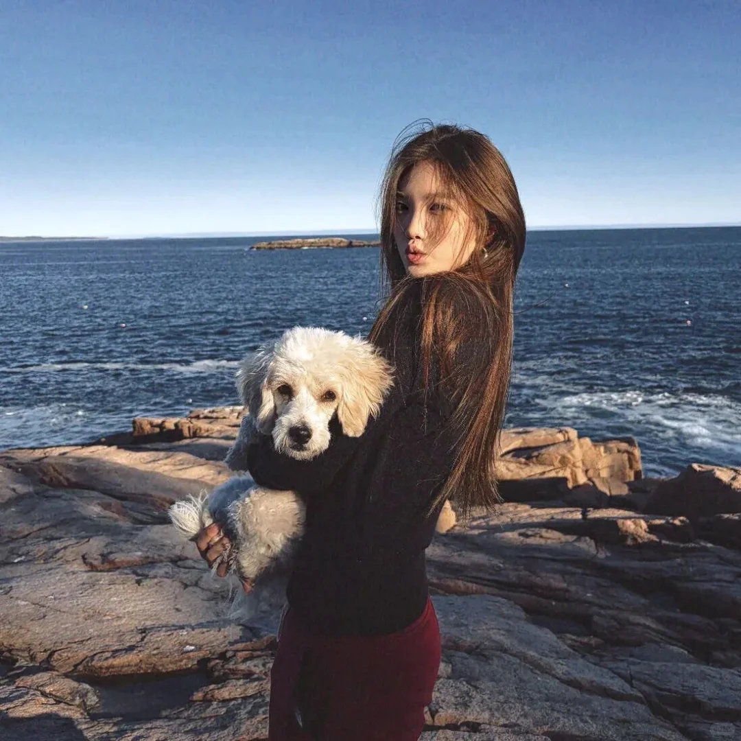 𝙒𝙚𝘾𝙝𝙖𝙩头像｜个性头像