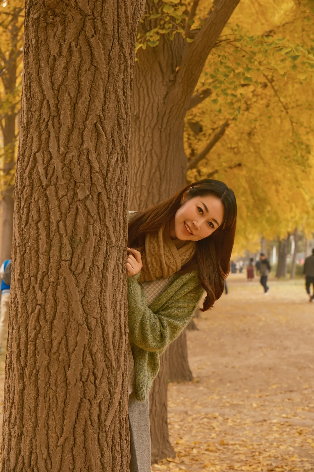 北京地坛银杏｜富士女摄免费拍📸 谁懂啊！