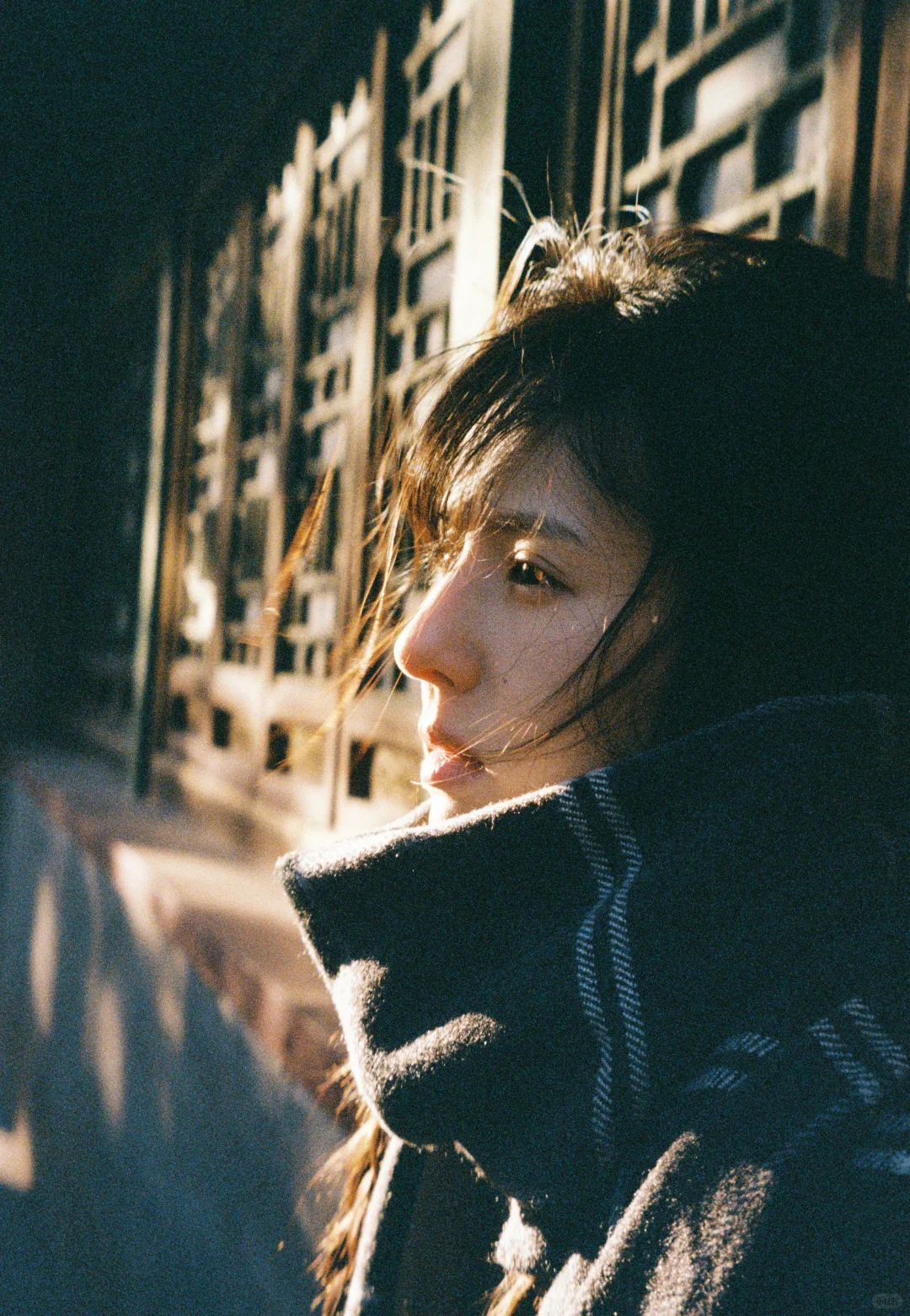 鹤男秋日氛围感写真