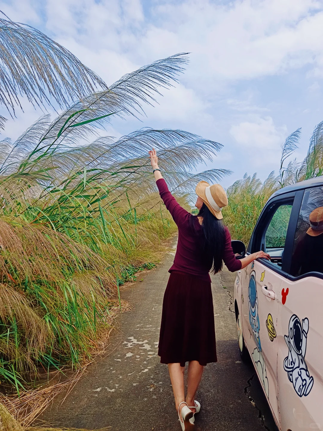 没有流量，这是有多丑呀？