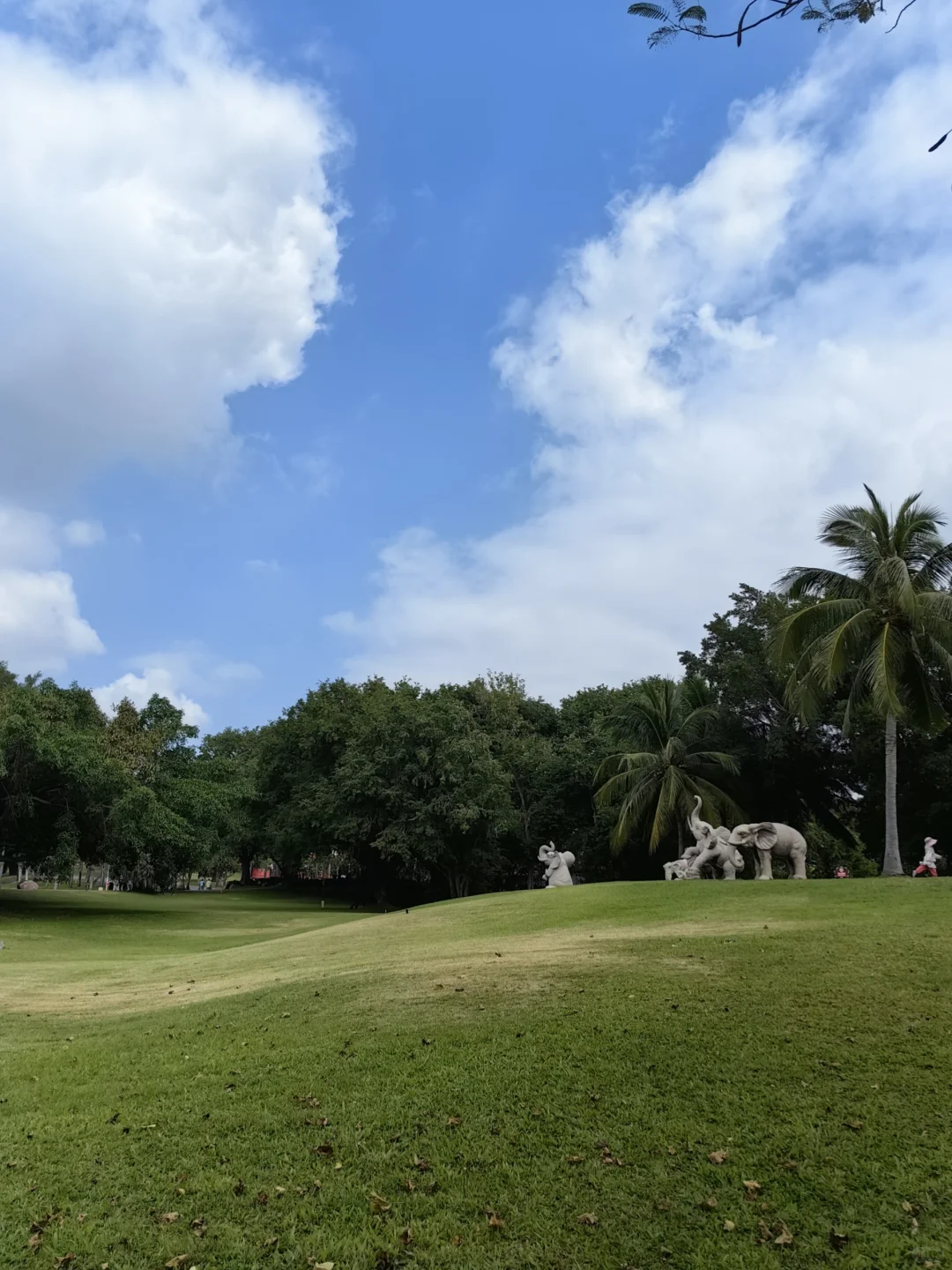 中国红自带活力❤️🍃