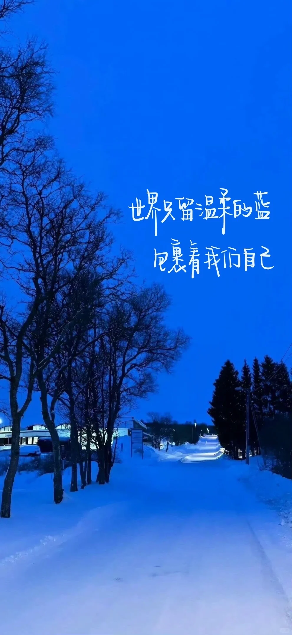 手写壁纸｜我与世界 都是帧帧瞬间