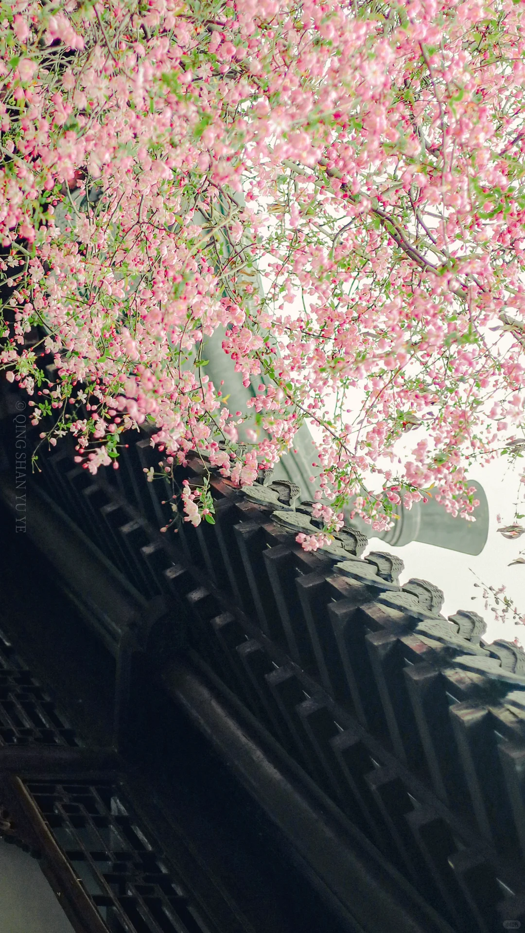 全屏封神挑战｜来看看18岁女摄拍的南京