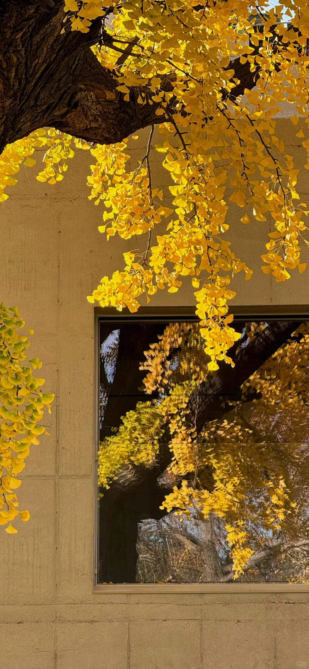 🀄：流水生财壁纸𝟐.𝟎