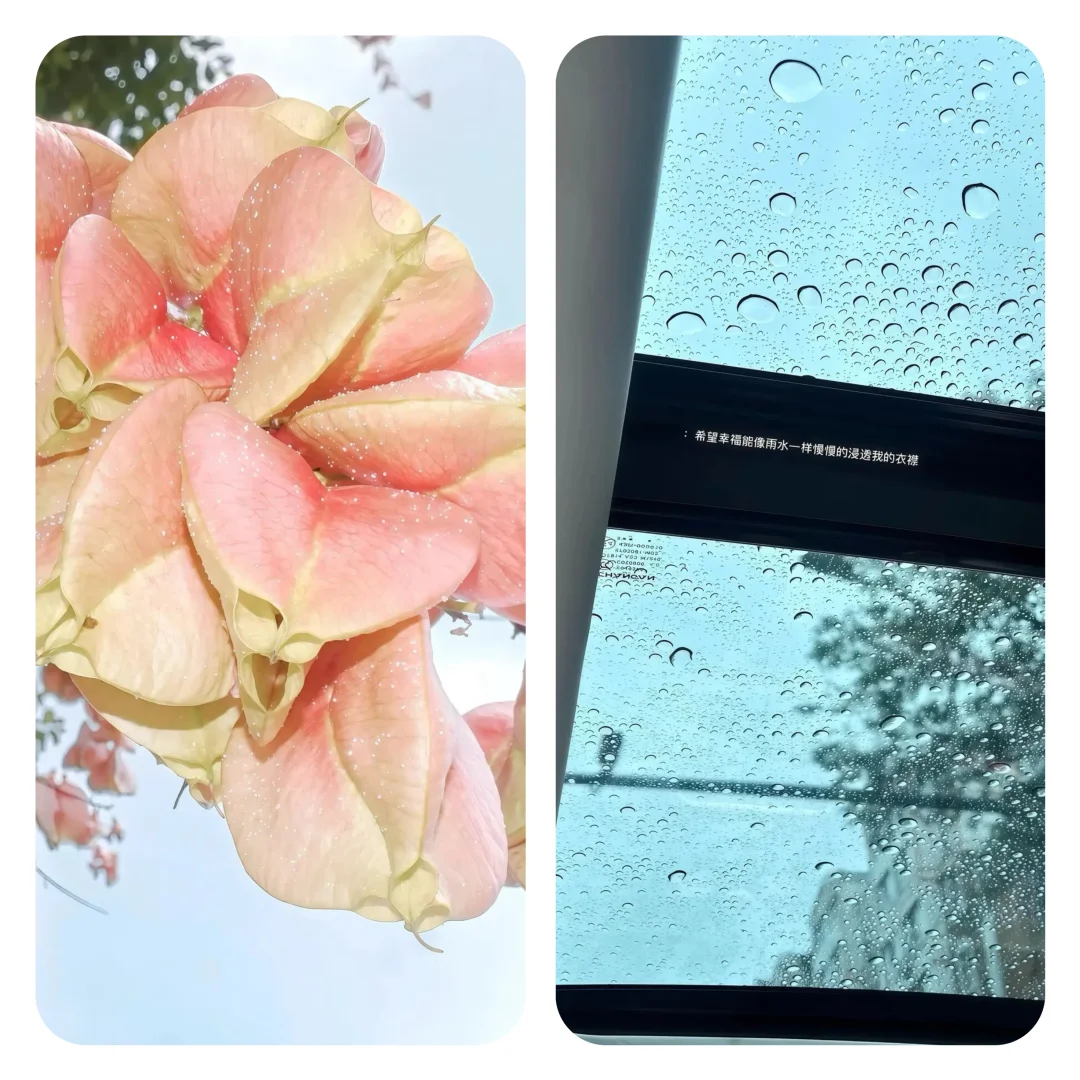 𝑾𝒂𝒍𝒍𝒑𝒂𝒑𝒆𝒓｜高清ins风壁纸