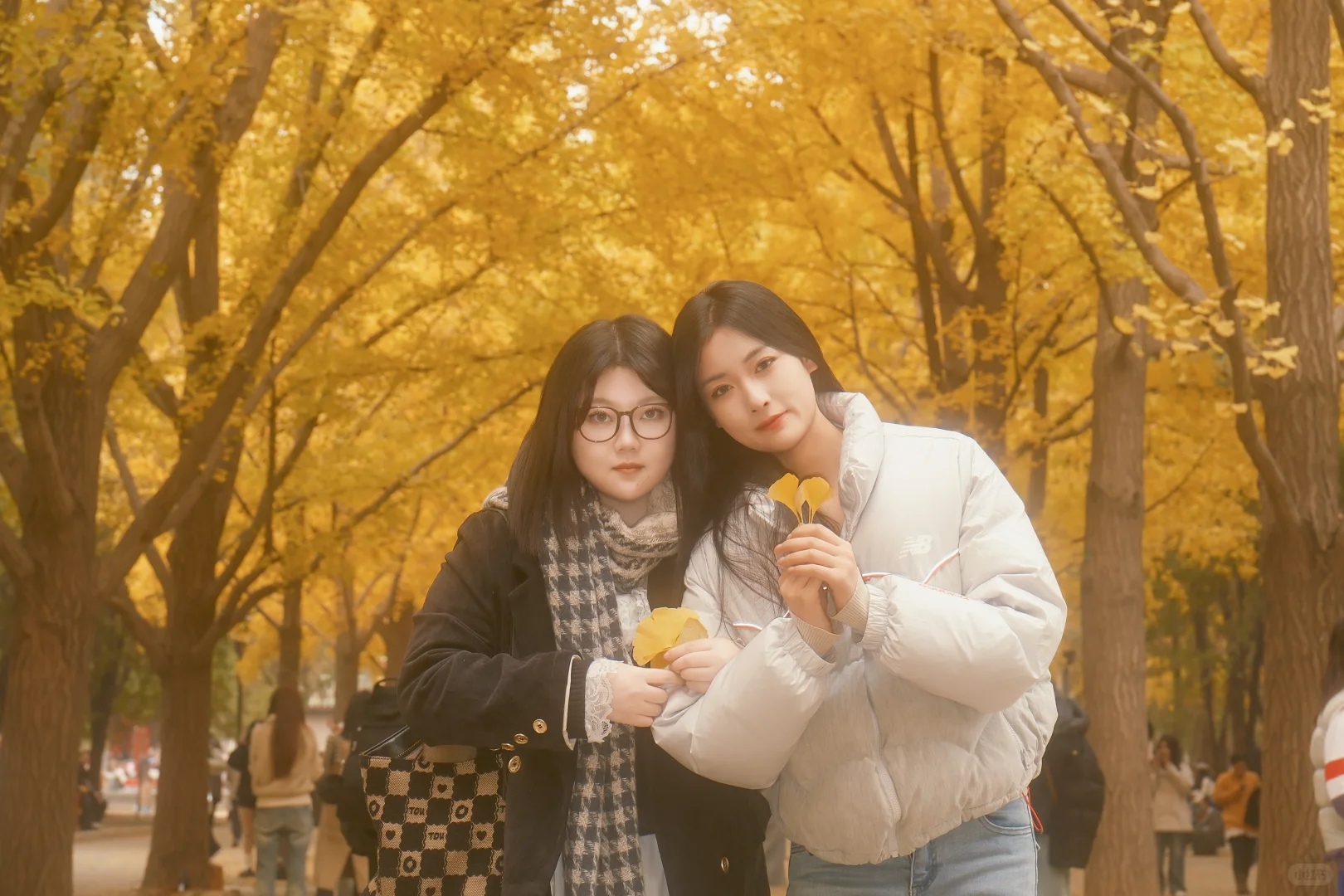 北京地坛银杏｜富士女摄免费拍📸 谁懂啊！